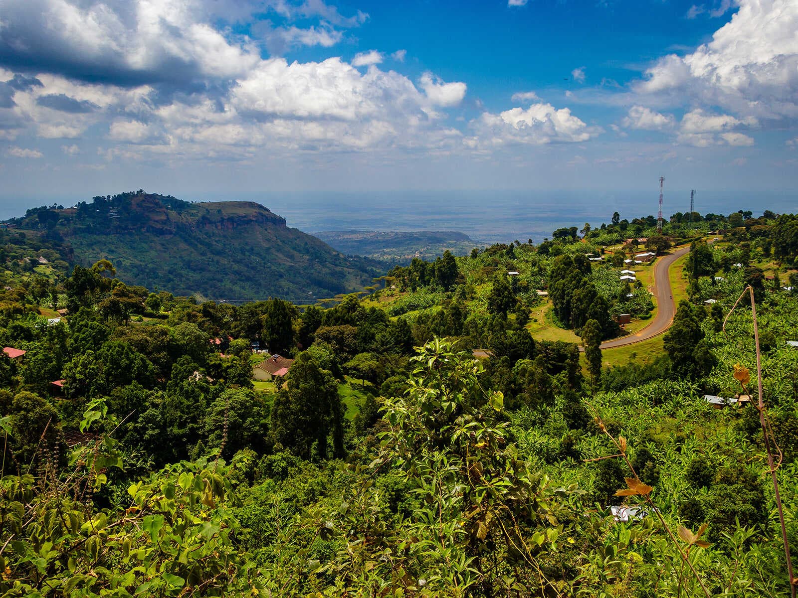 Mount Elgon 1