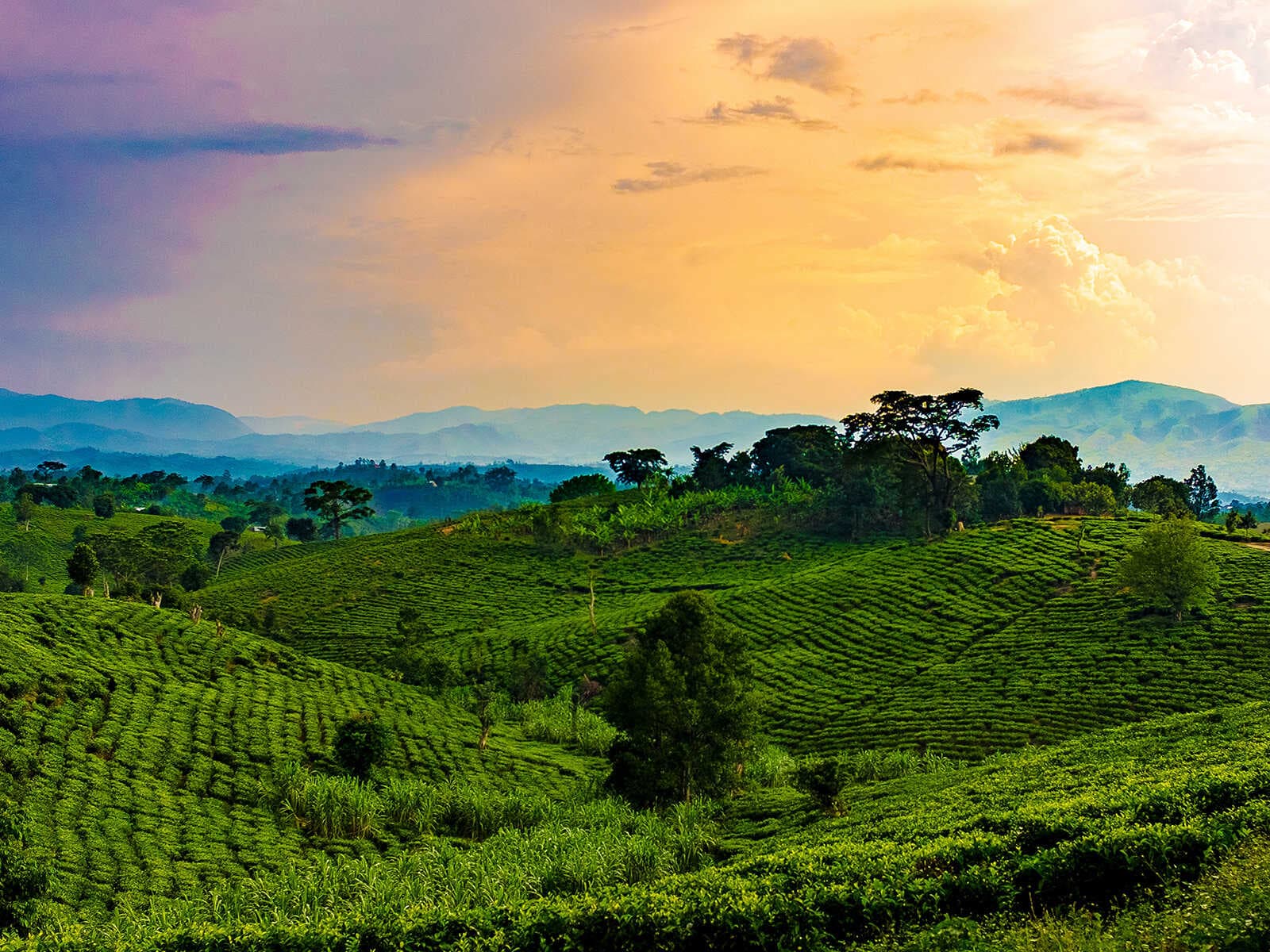 Queen Elizabeth Parque Nacional