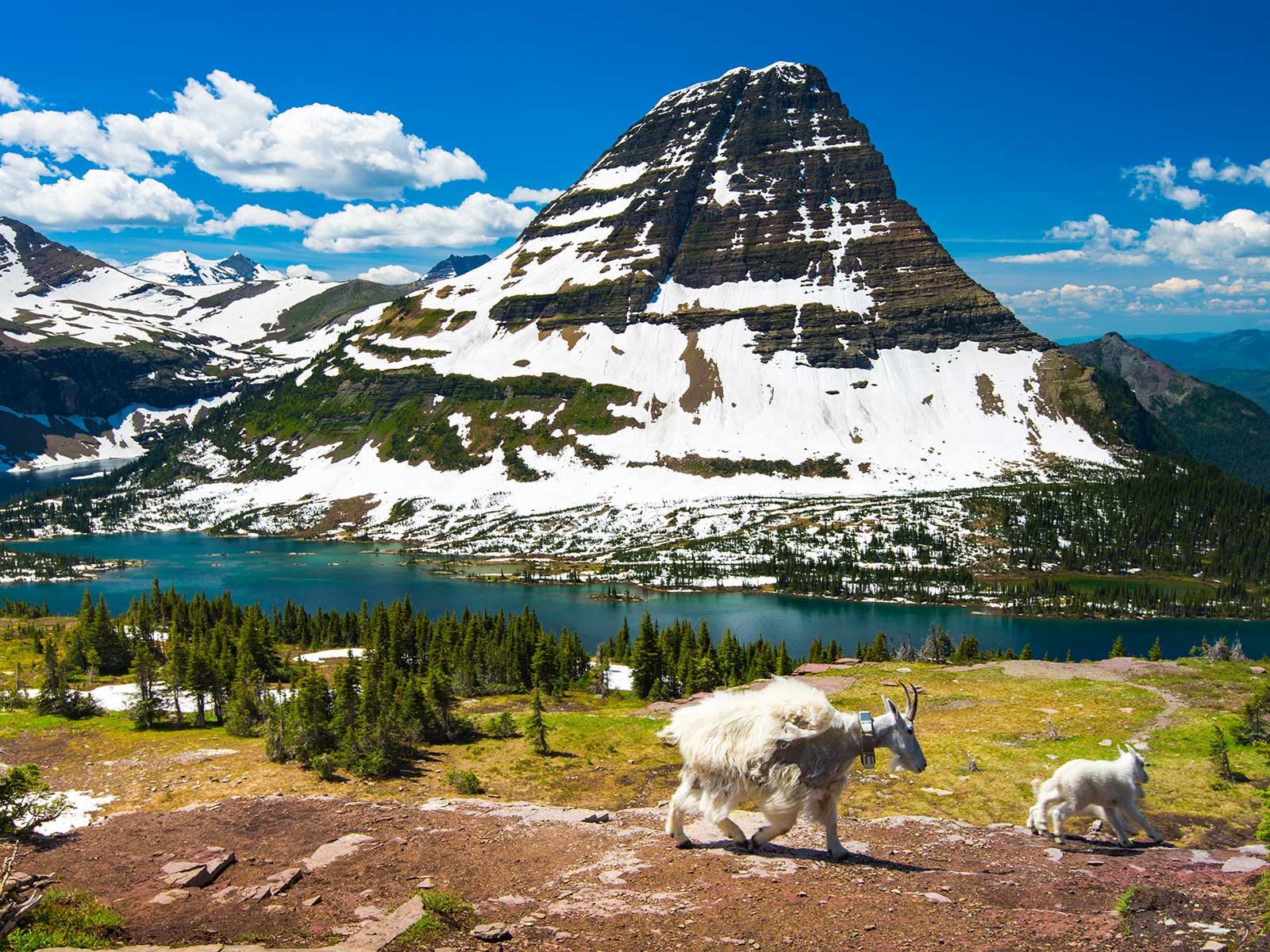 Glacier Parque Nacional 2