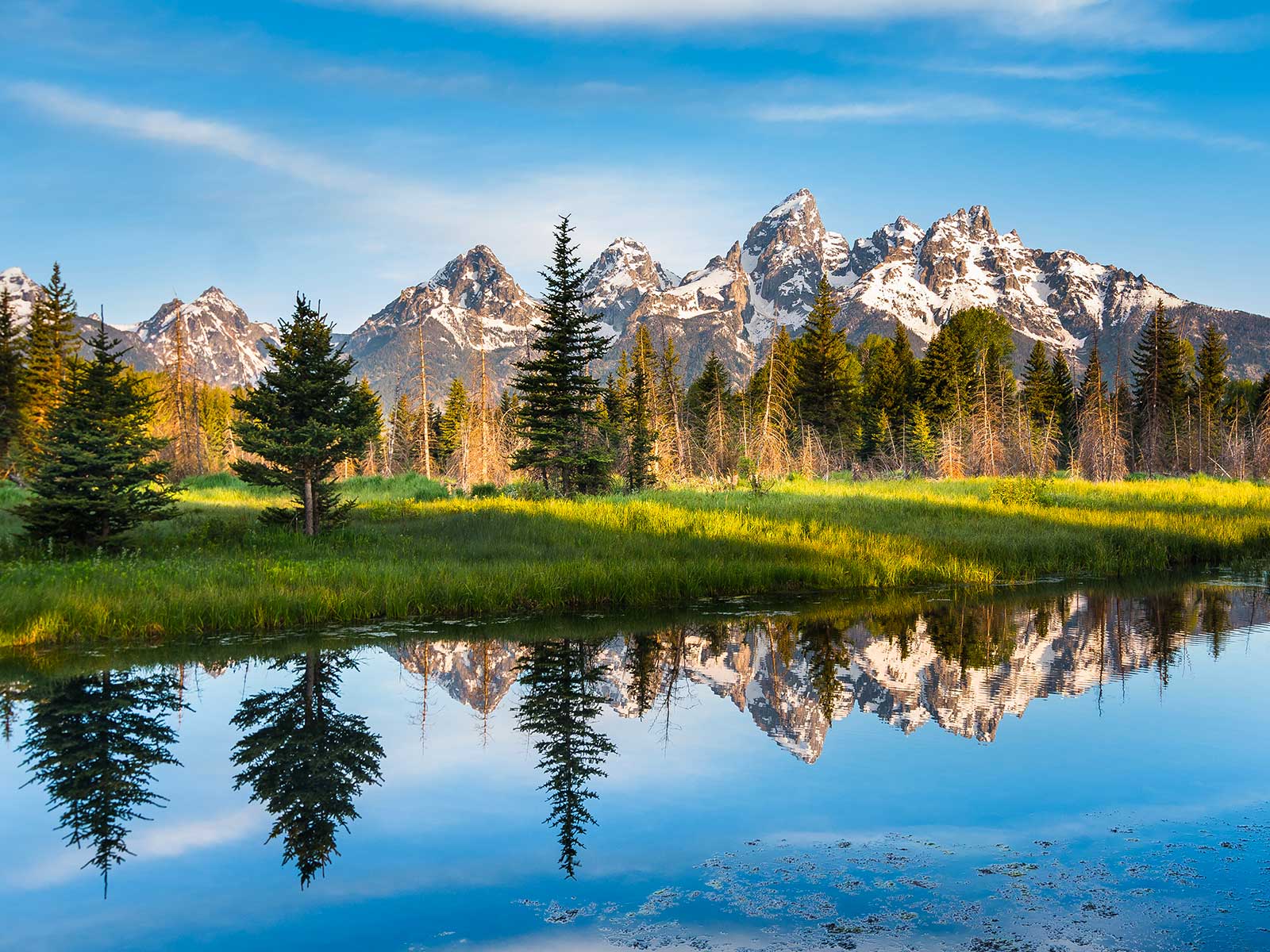 Grand Teton Parque Nacional 1