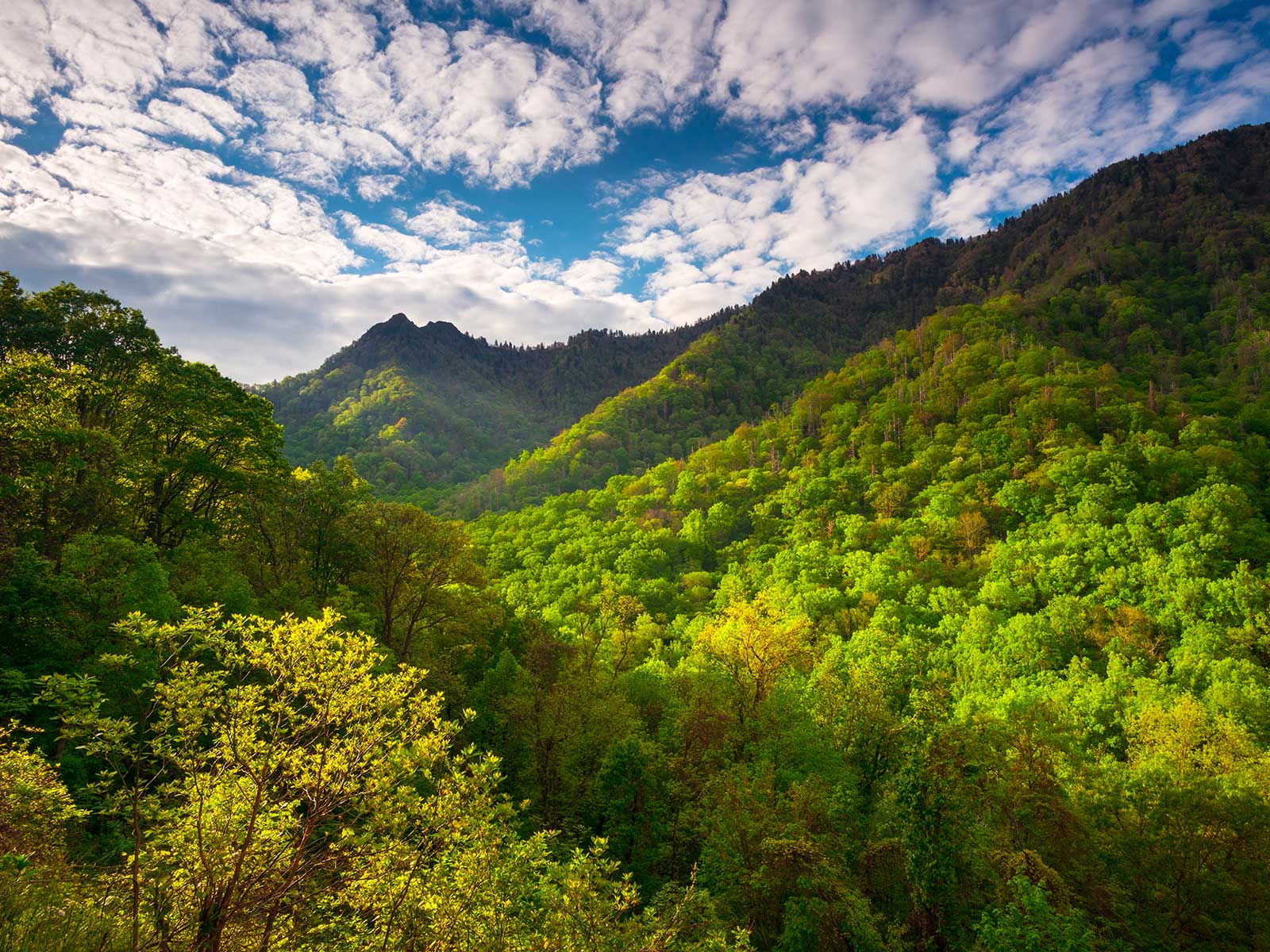 Great Smoky Mountains Parque Nacional