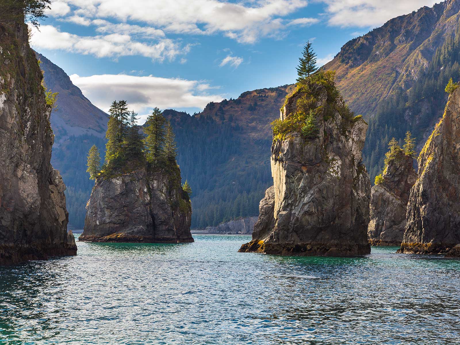 Kenai Fjords Parque Nacional 1