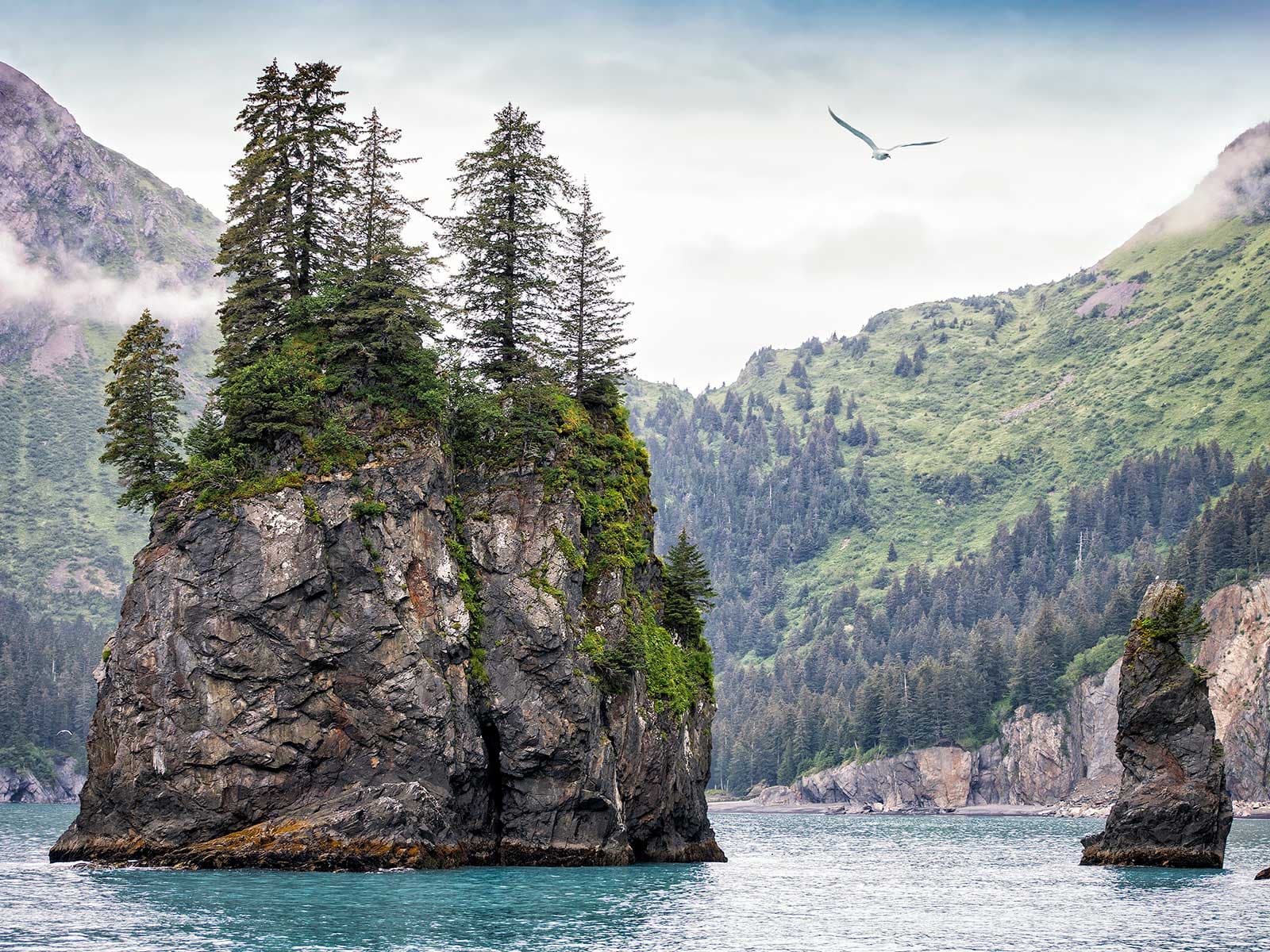 Kenai Fjords Parque Nacional