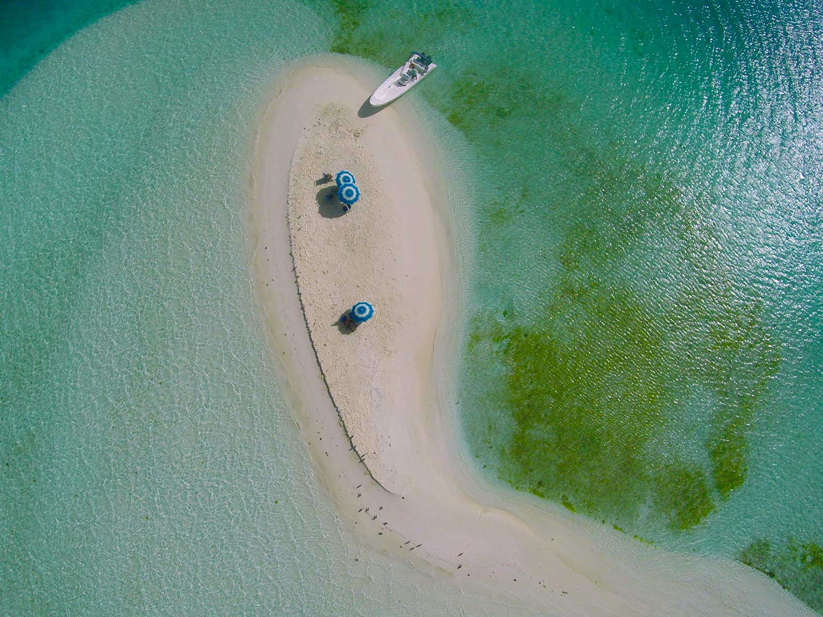 Los Roques