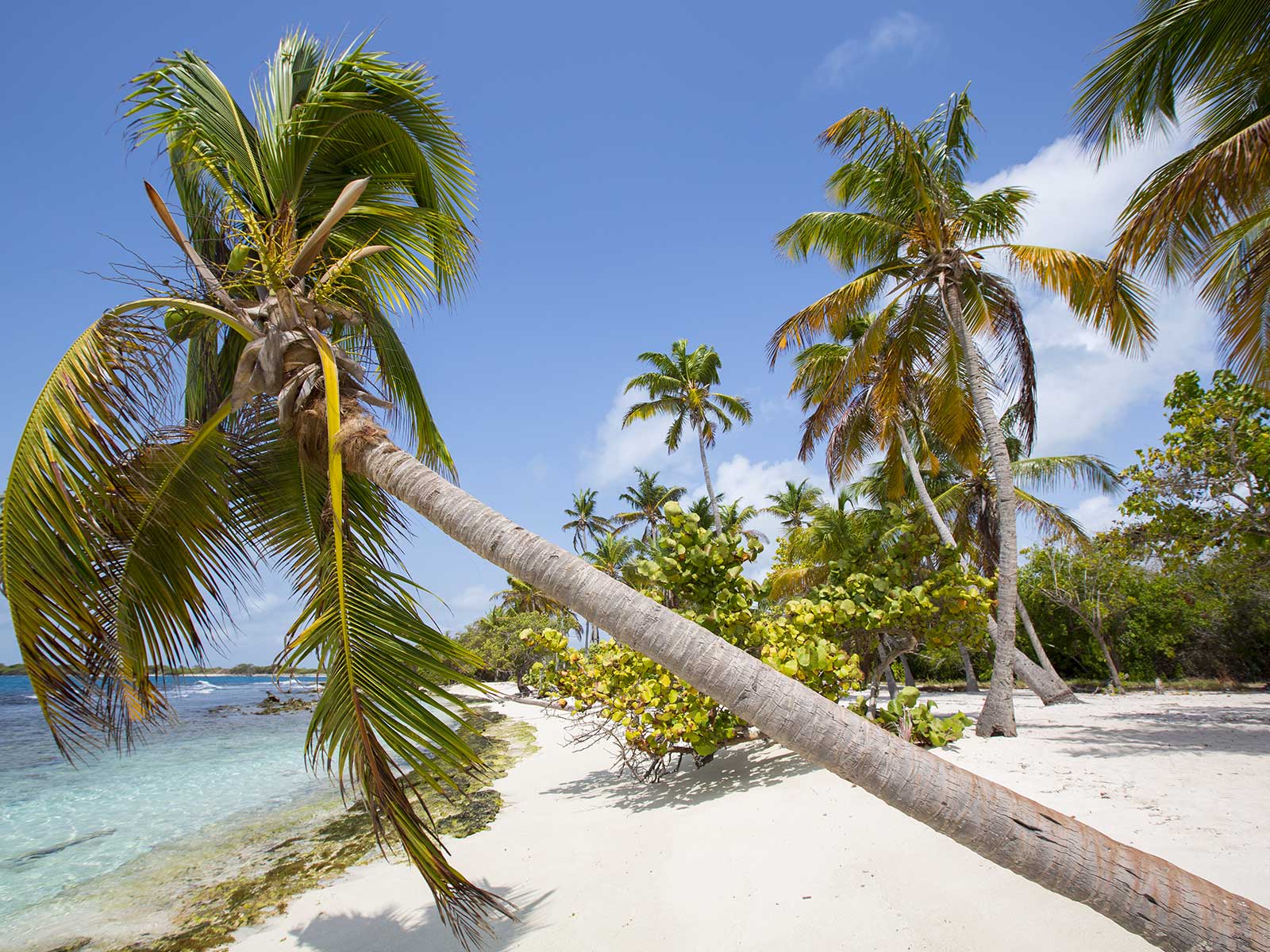 Morrocoy Parque Nacional 1