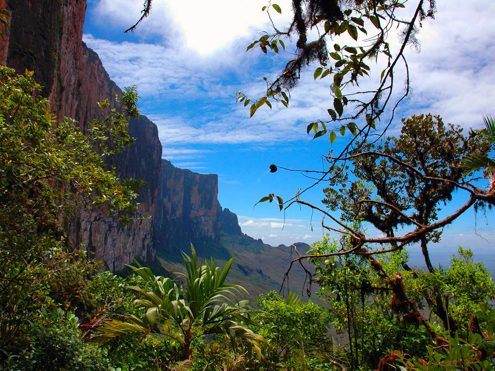 Mount Roraima 1