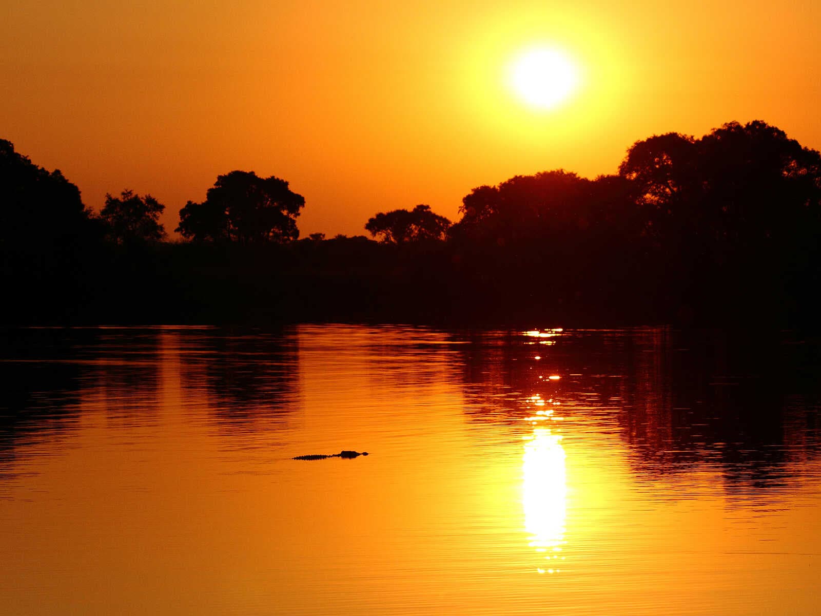 Kafue Parque Nacional