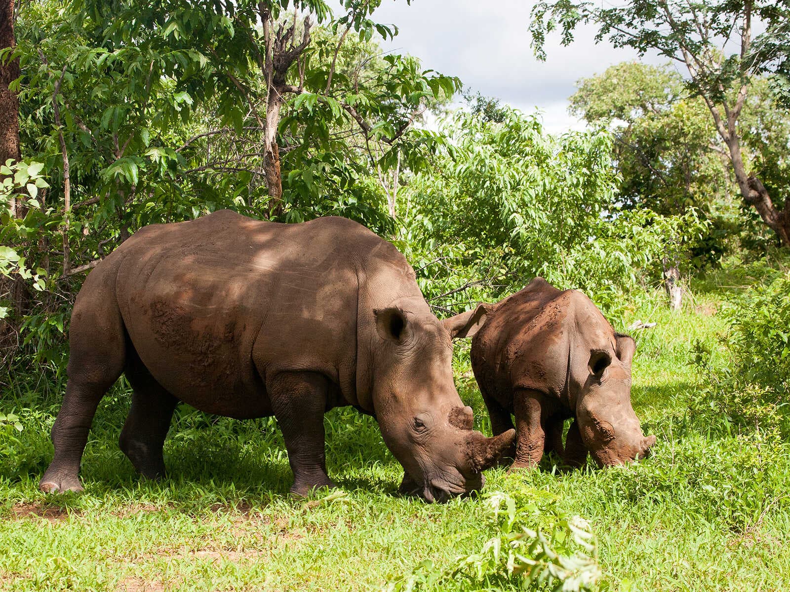 Mosi-oa-Tunya Parque Nacional