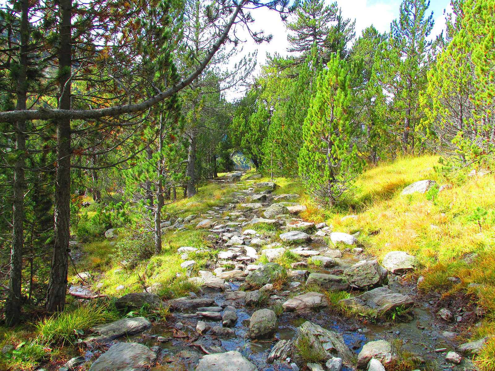Parc Natural de la Vall de Sorteny 1