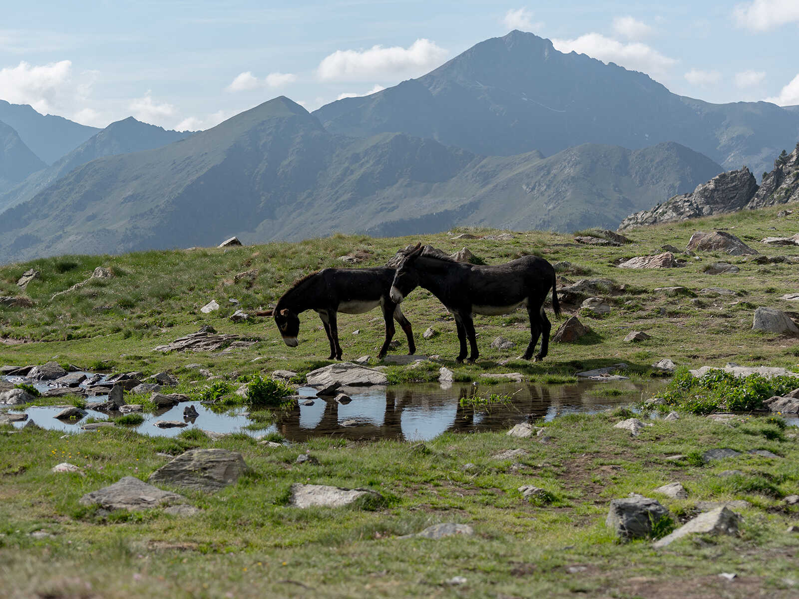 Parc Natural de la Vall de Sorteny 2