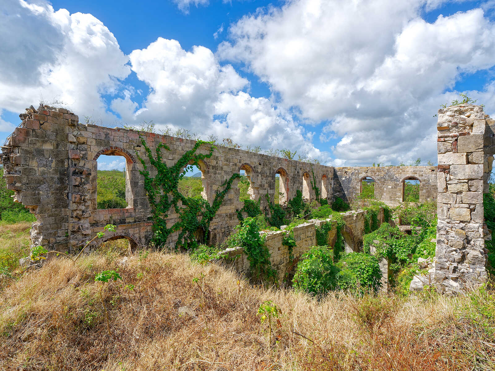 Betty's Hope Historic Sugar Plantation 2