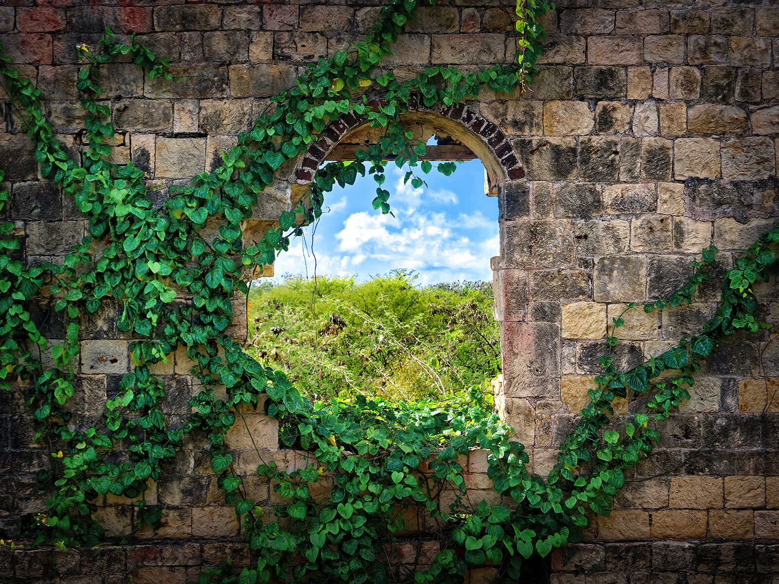 Betty's Hope Historic Sugar Plantation 3