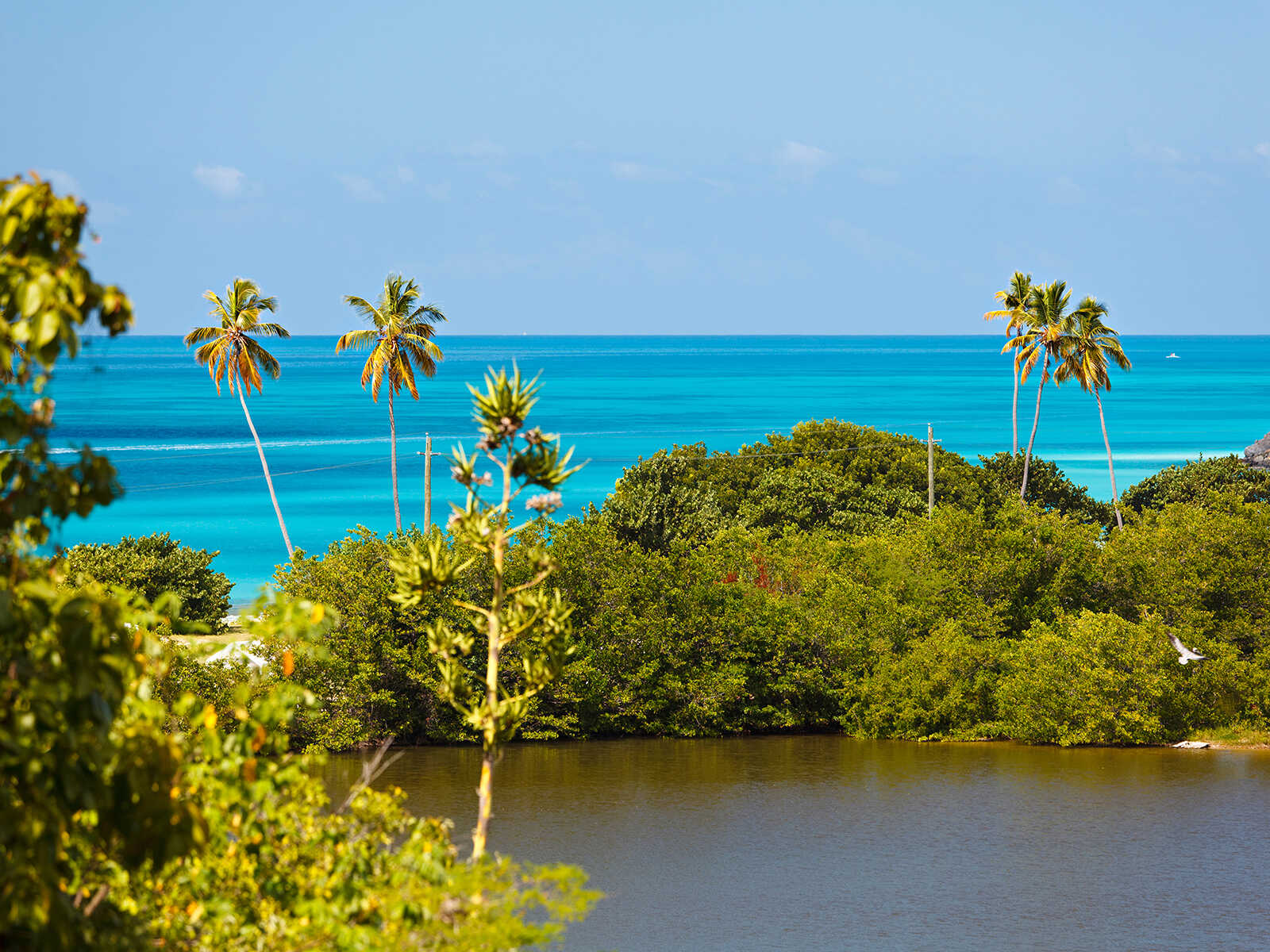Additional view 2 of Darkwood Beach