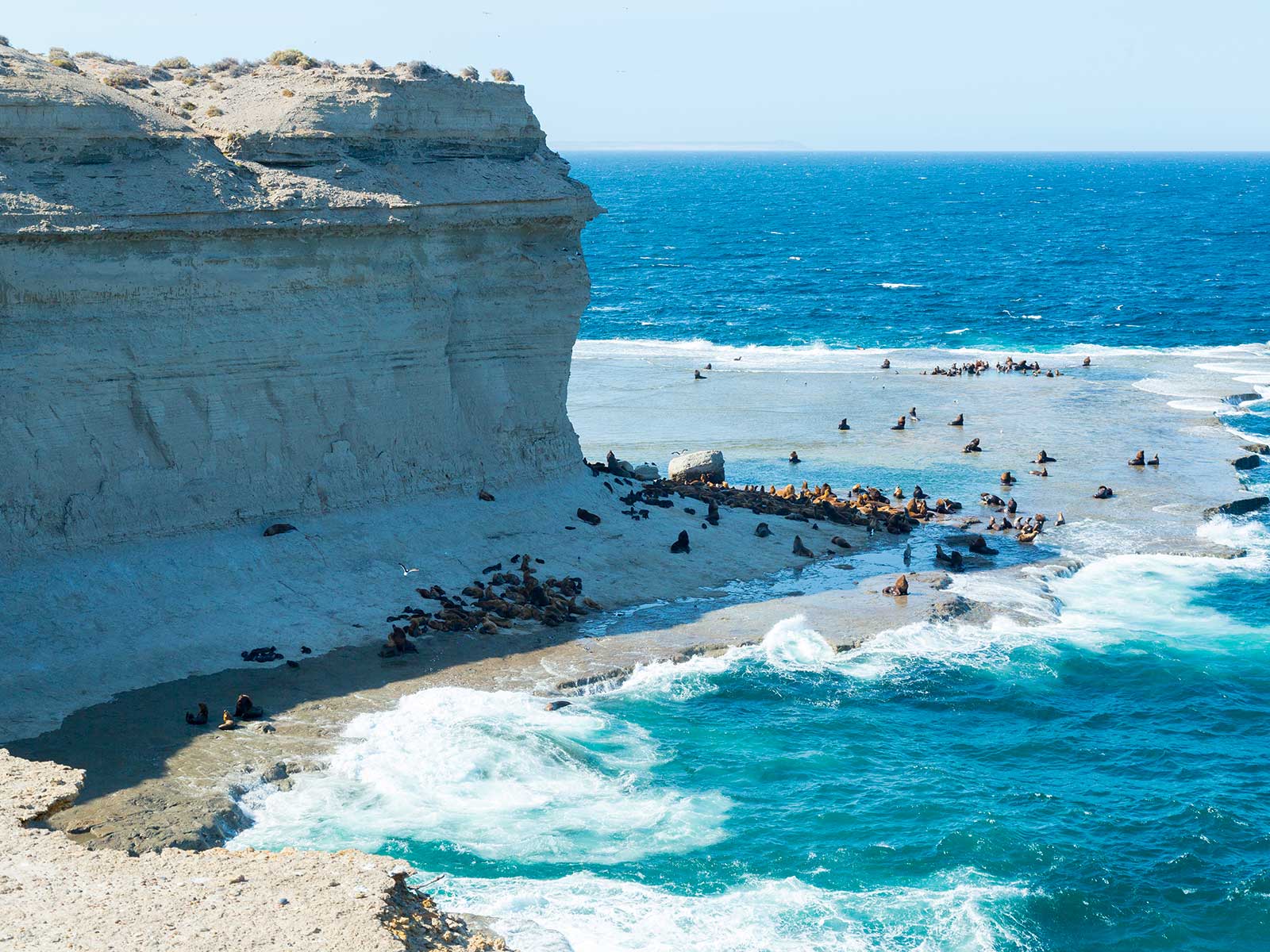 Valdes Peninsula