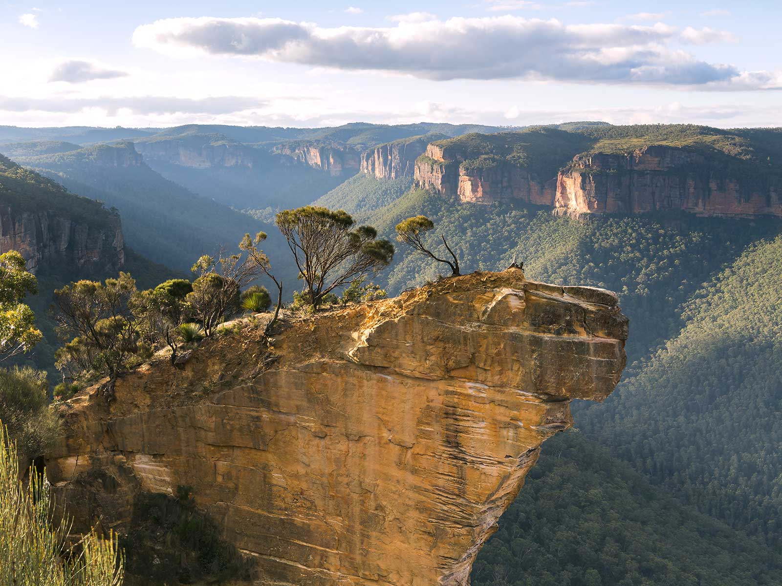 Blue Mountains National Park 1