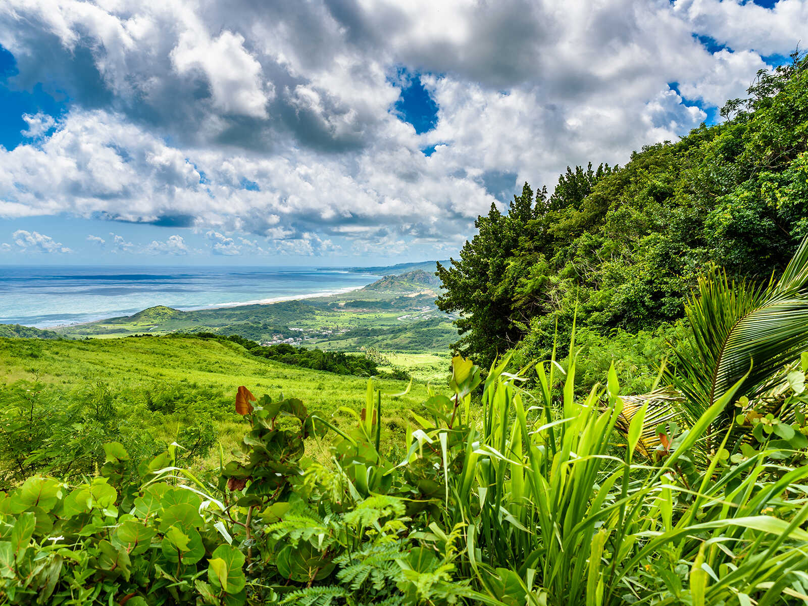 Cherry Tree Hill Reserve 2