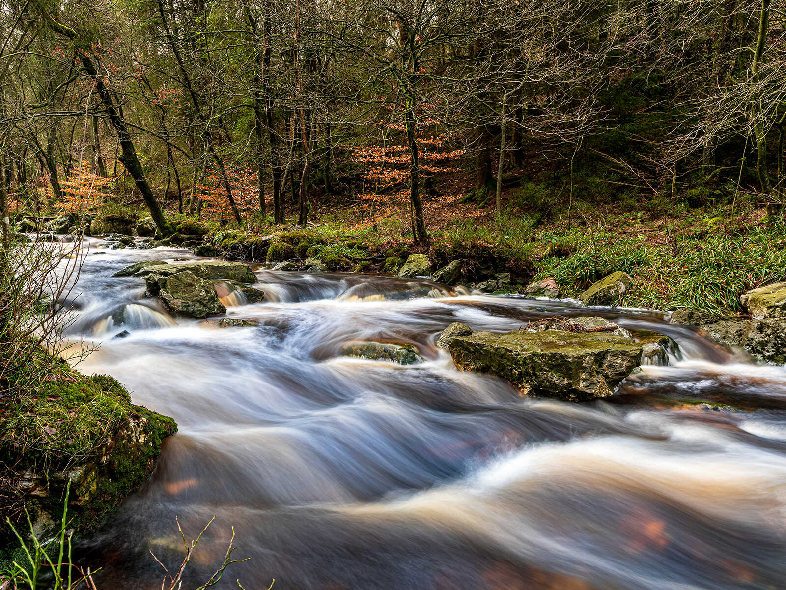 Eifel Natural Park 1