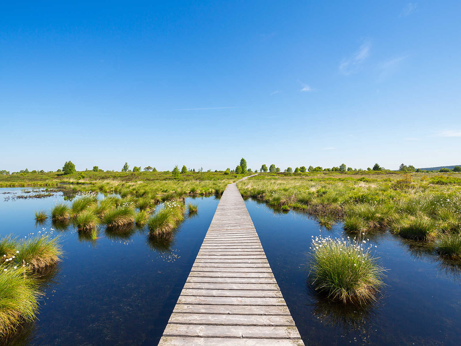 Eifel Natural Park 2