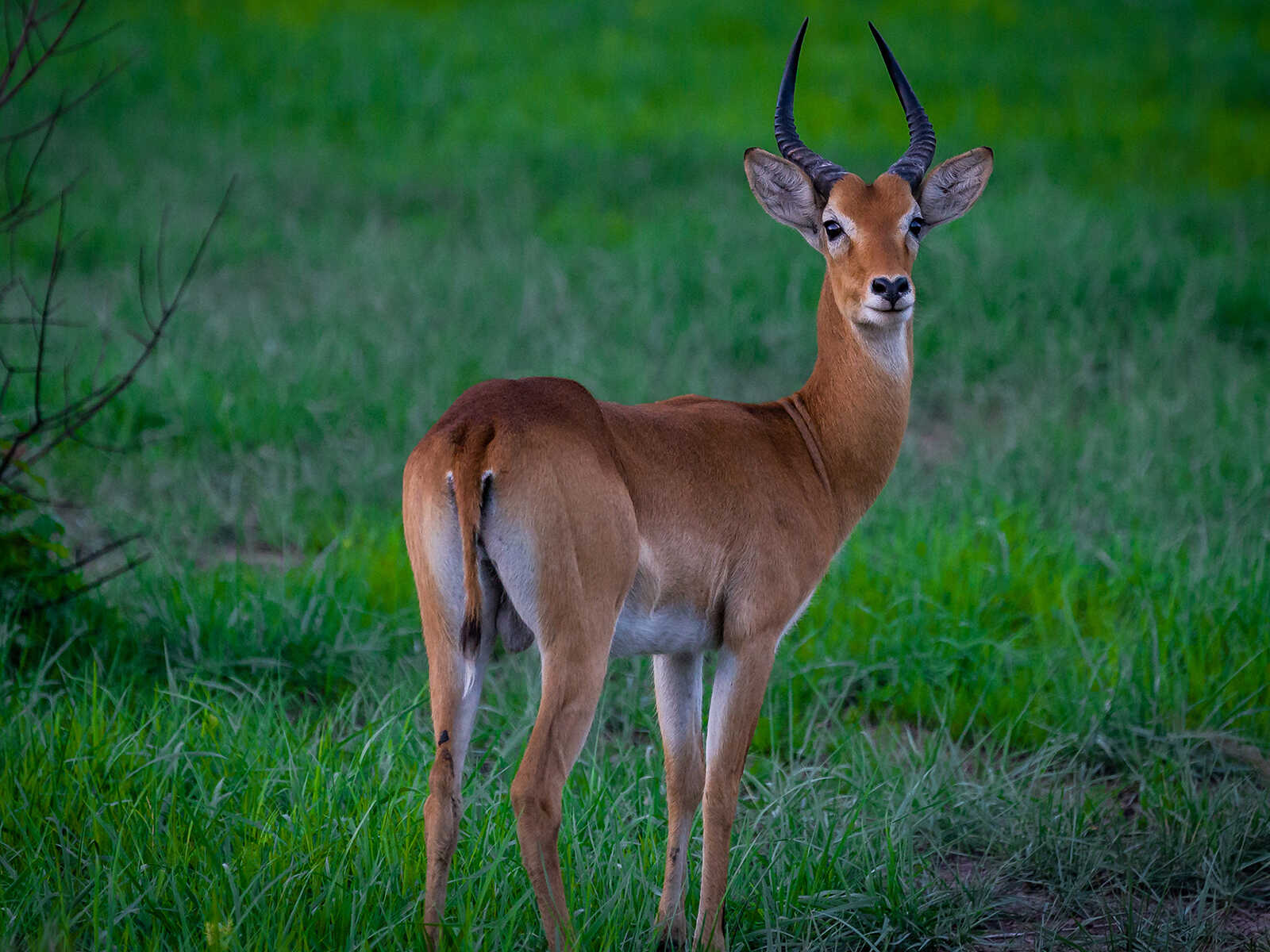 Pendjari National Park 3