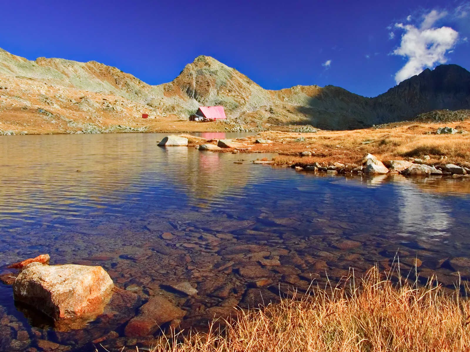 Pirin National Park 1