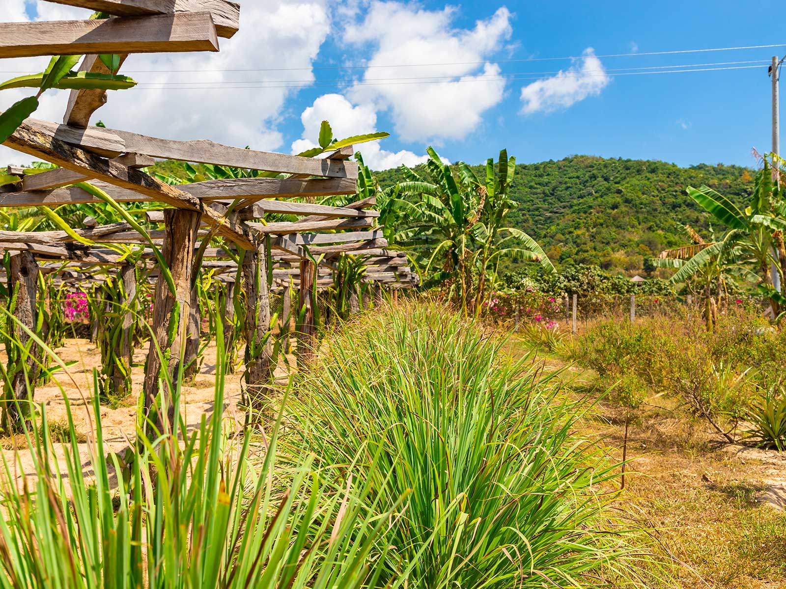 Kampot