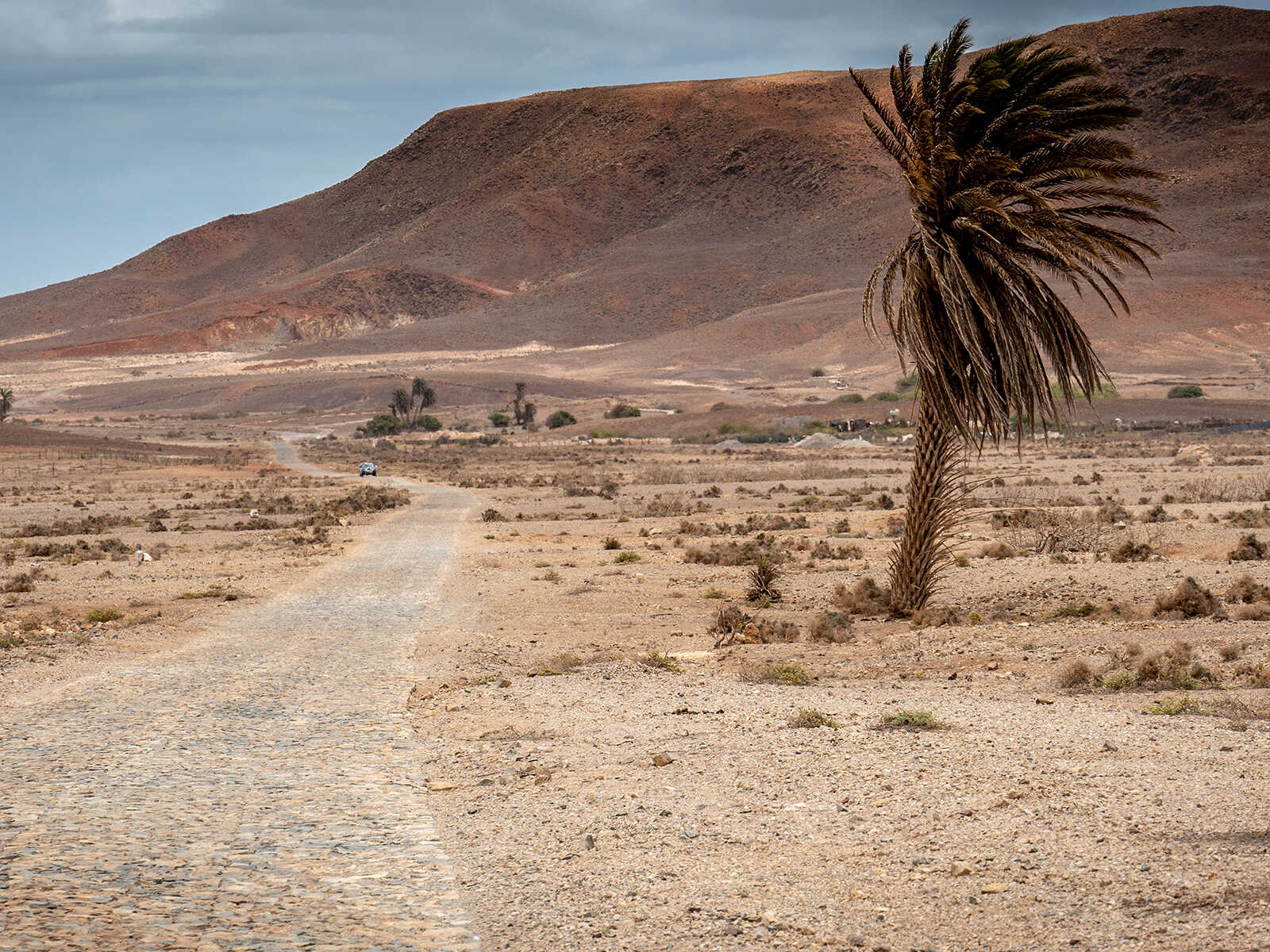 Deserto de Viana