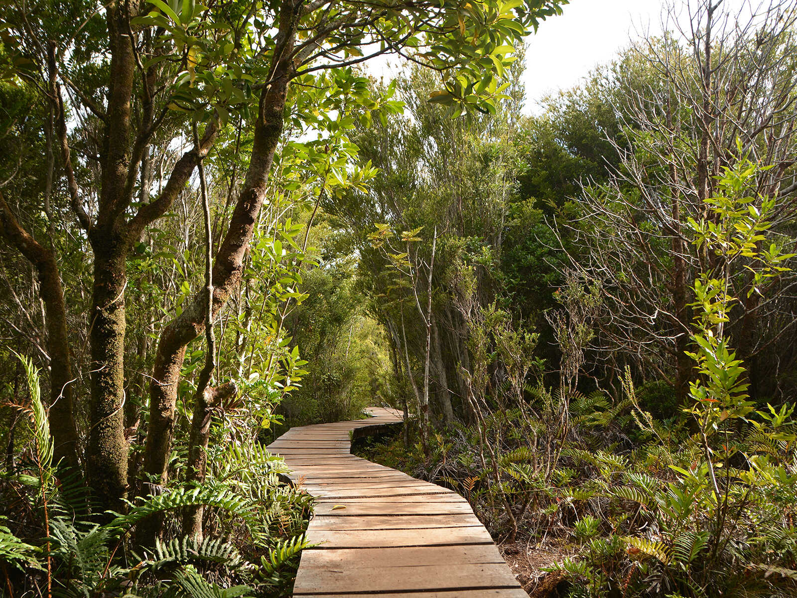 Chiloé Island