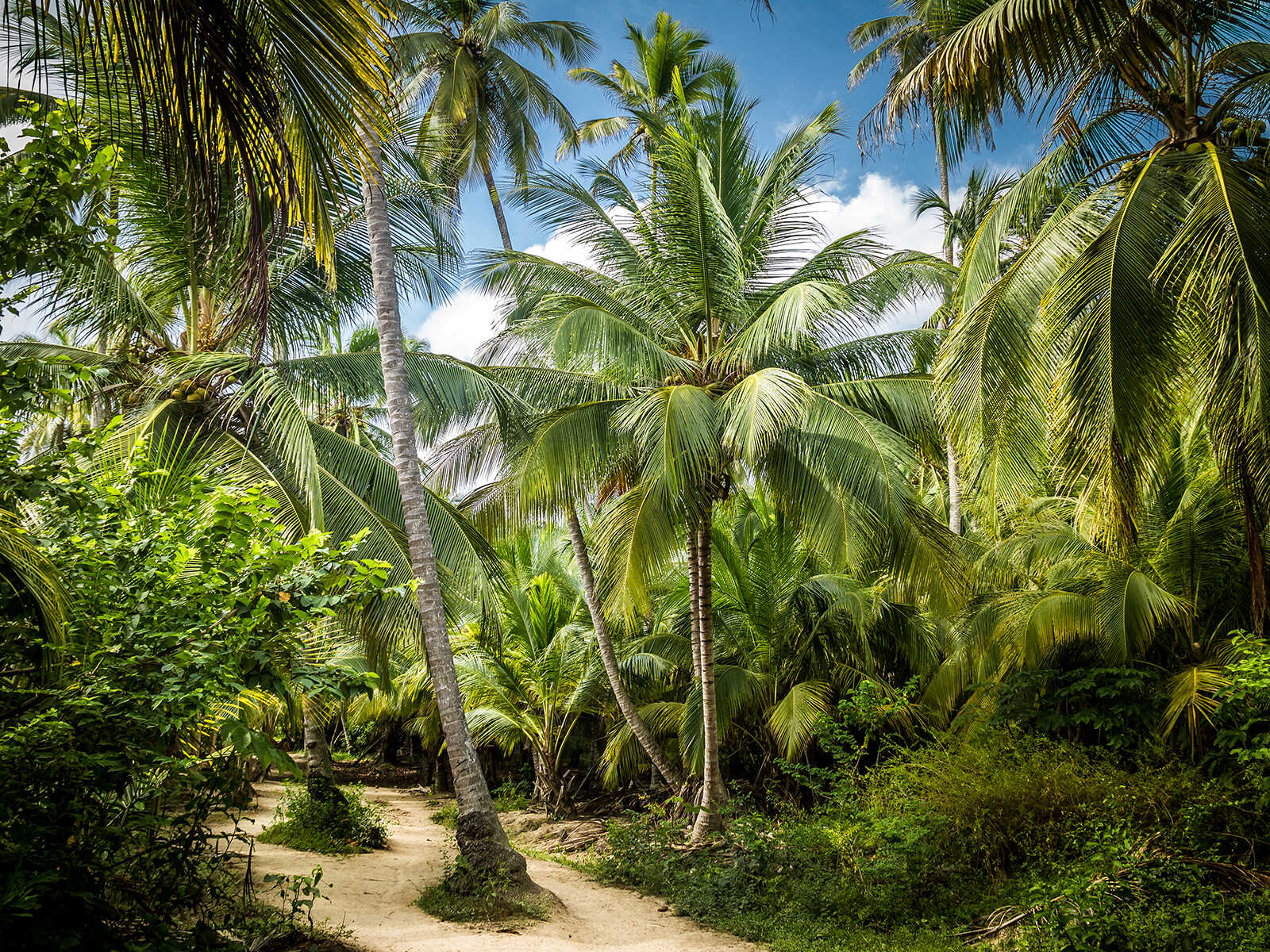 Parque Nacional Natural Tayrona 1