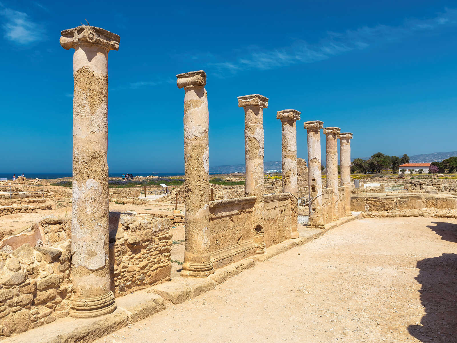 Kato Paphos Archaeological Park