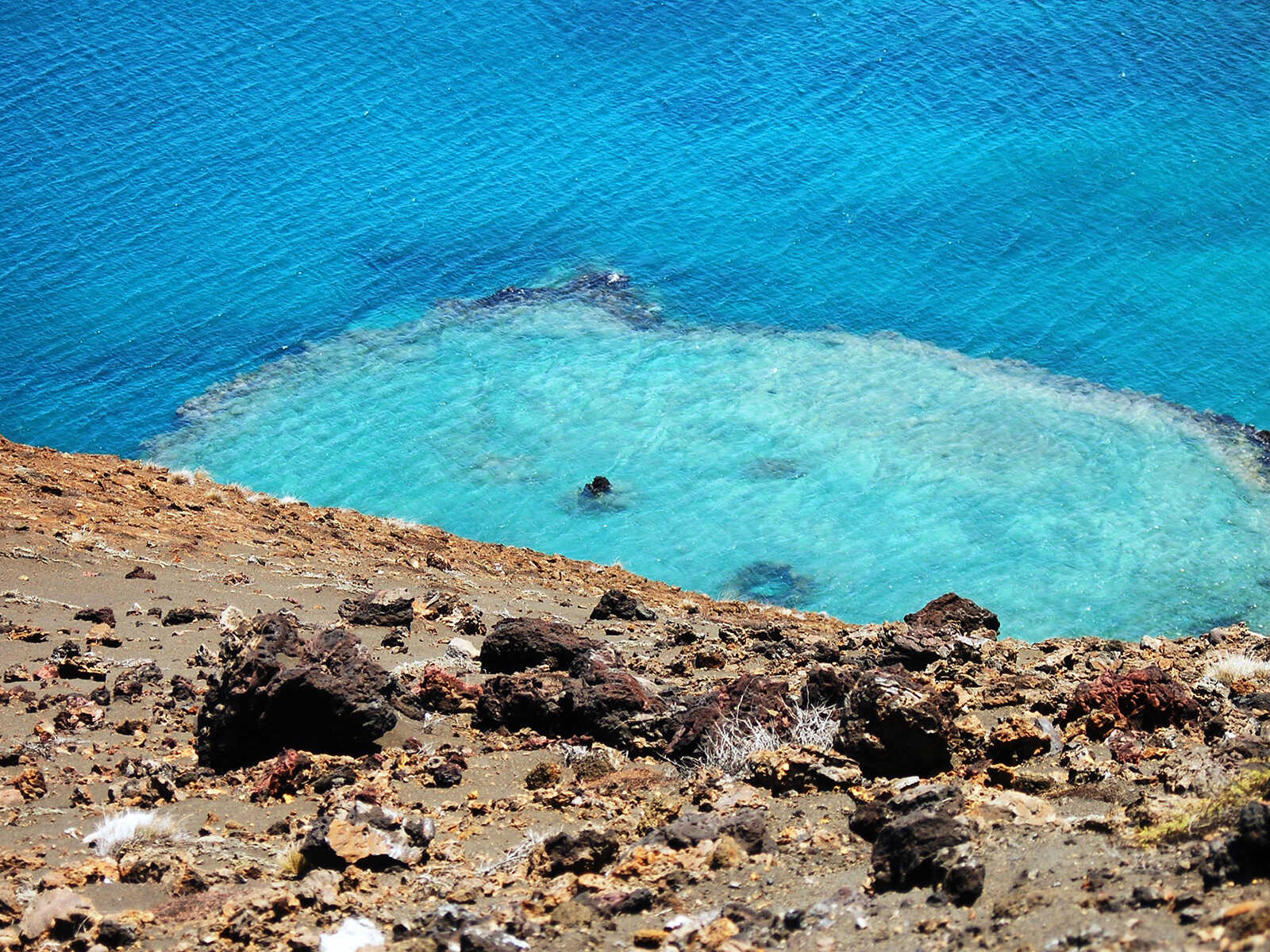 Bartolomé Island