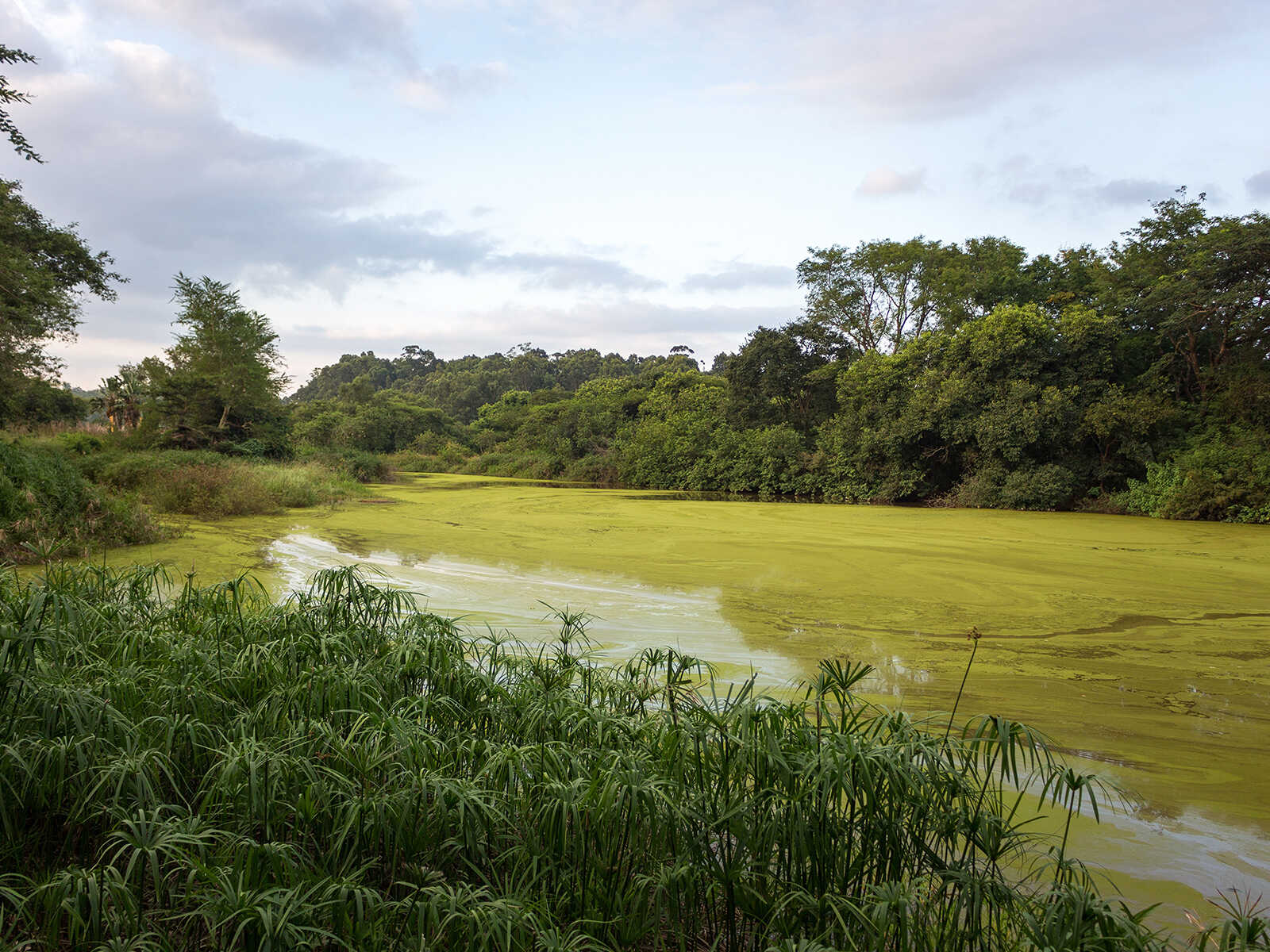 Mlilwane Wildlife Sanctuary 1