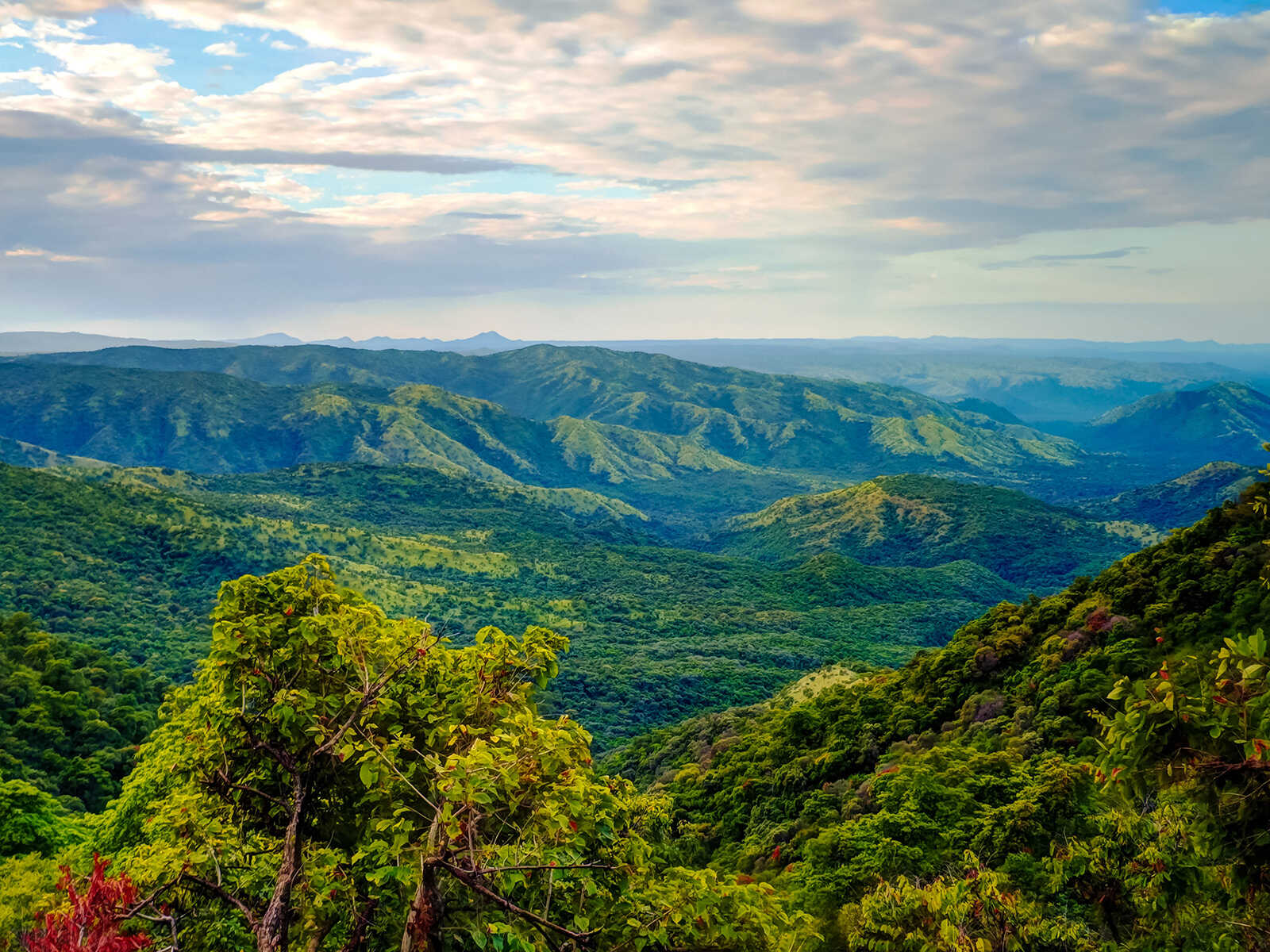 Omo National Park