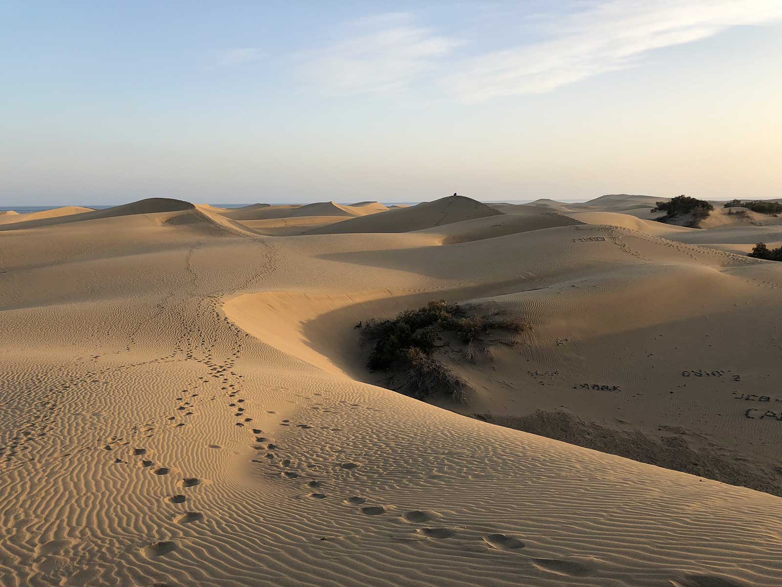 Natural Dune Reserve of Maspalomas 2