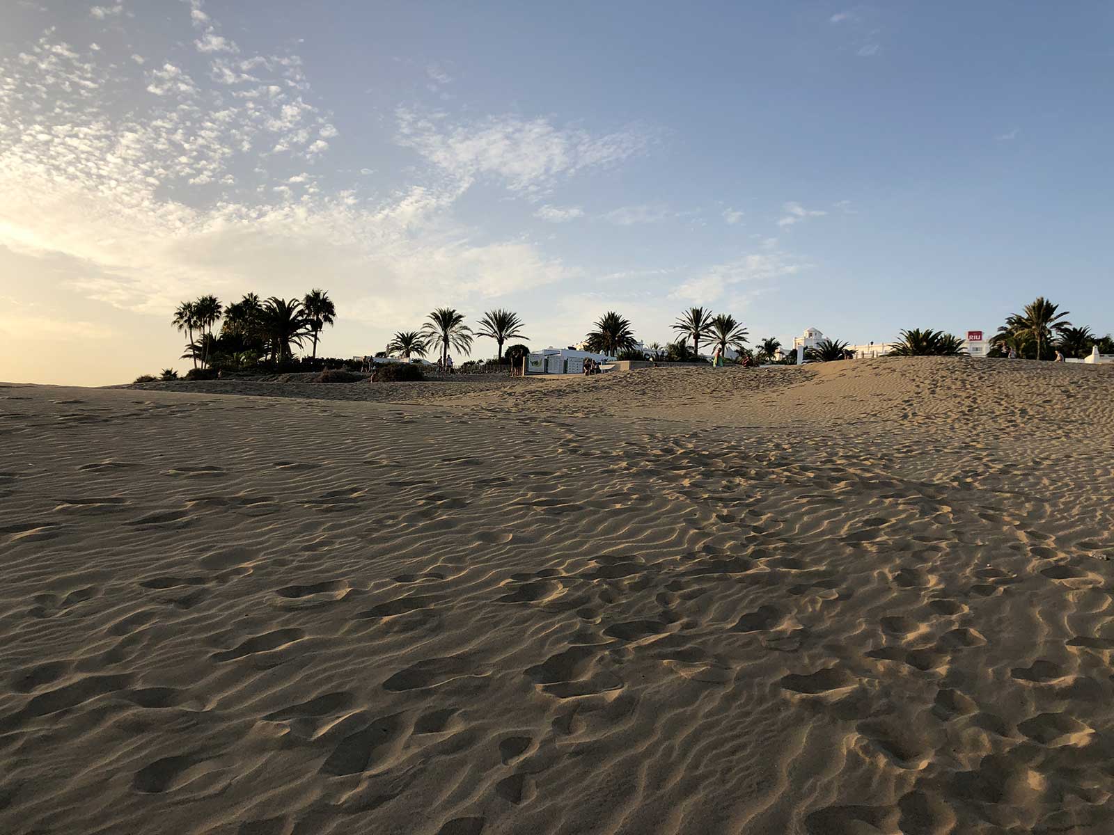 Natural Dune Reserve of Maspalomas 3