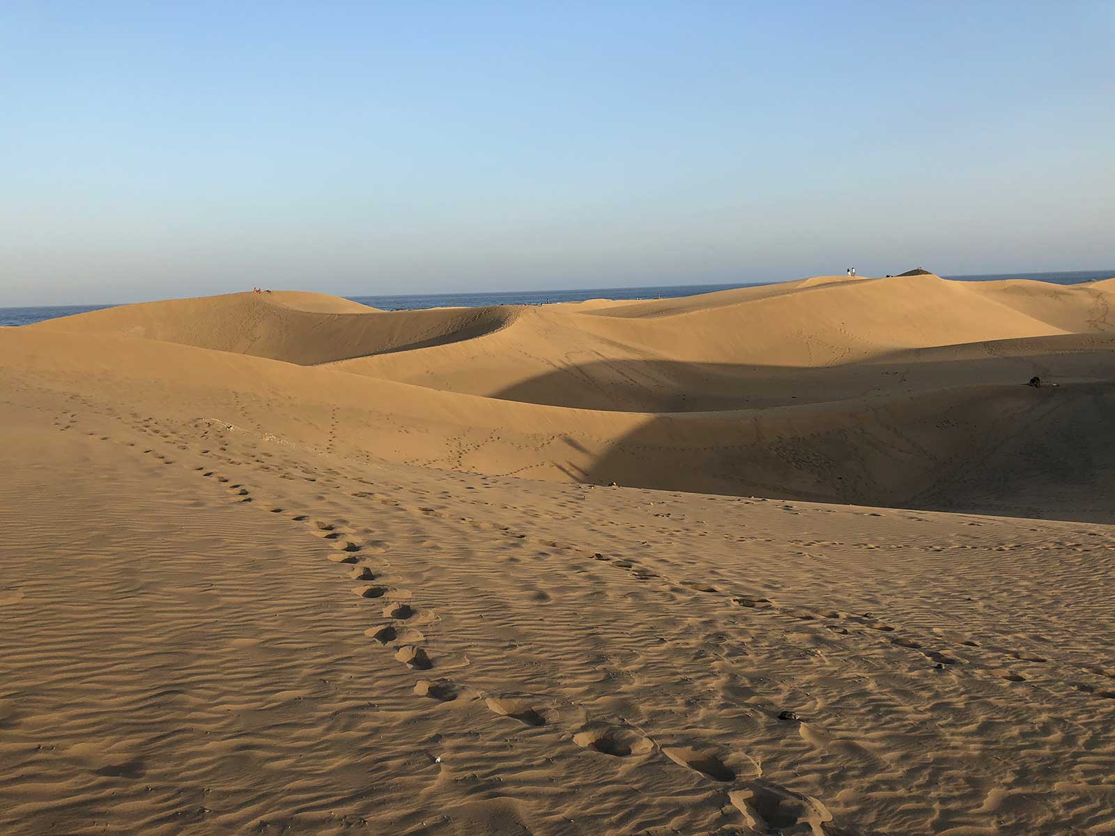 Natural Dune Reserve of Maspalomas