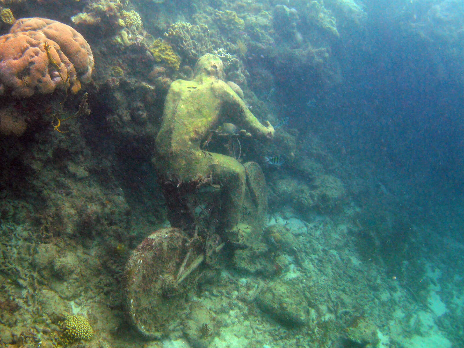Grenada Underwater Sculpture Park 1
