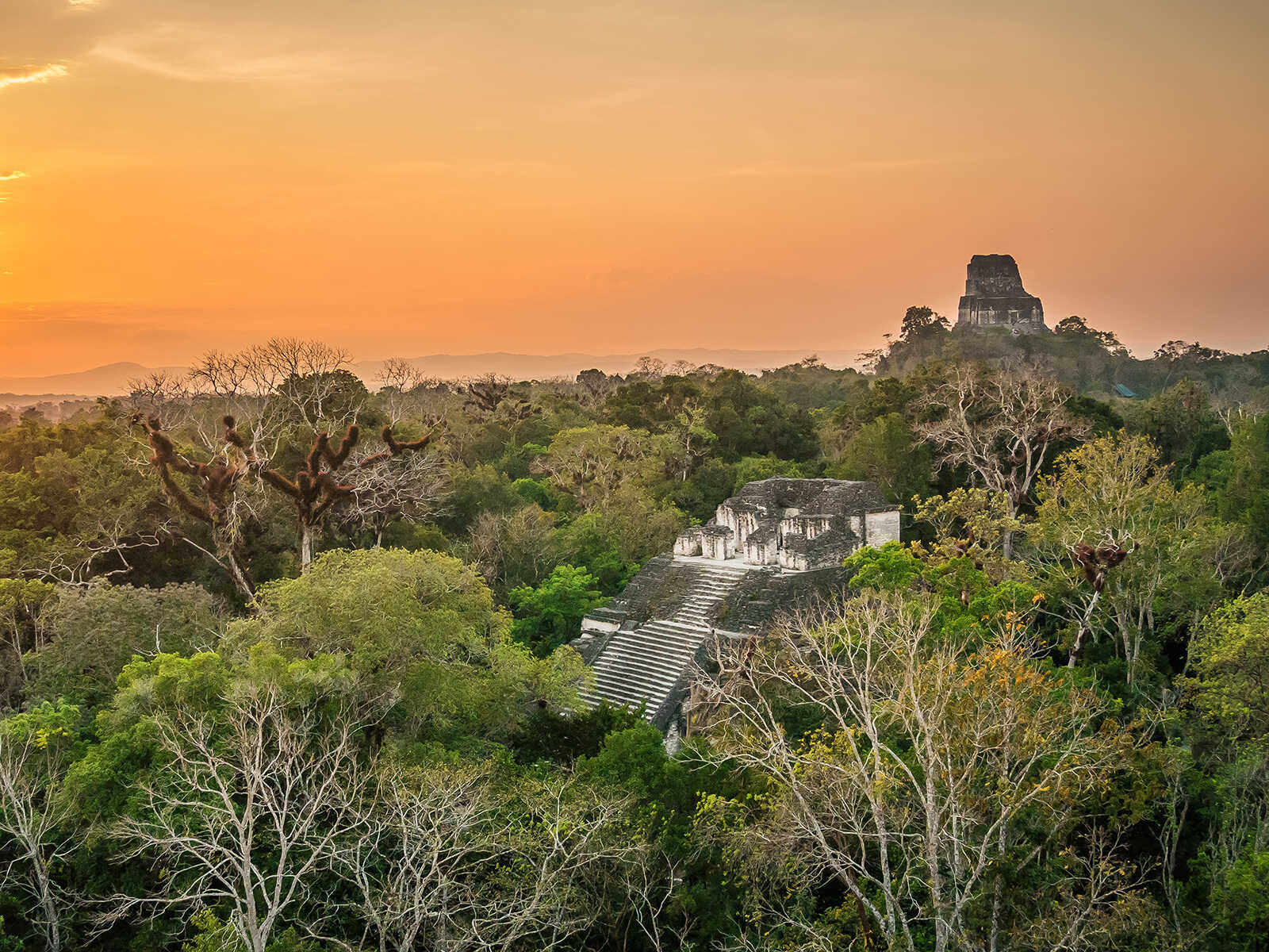 Tikal 1