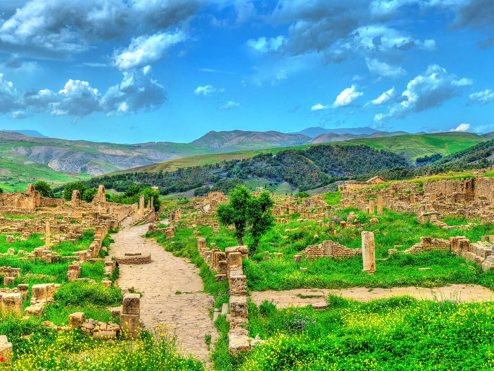 Roman Ruins of Djemila