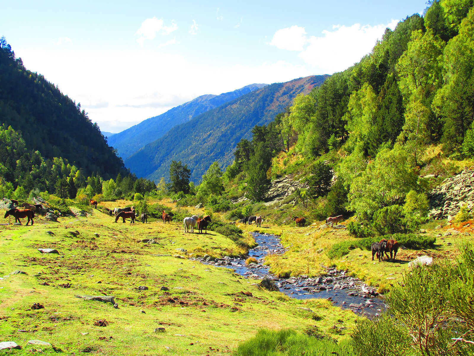Parc Natural de la Vall de Sorteny