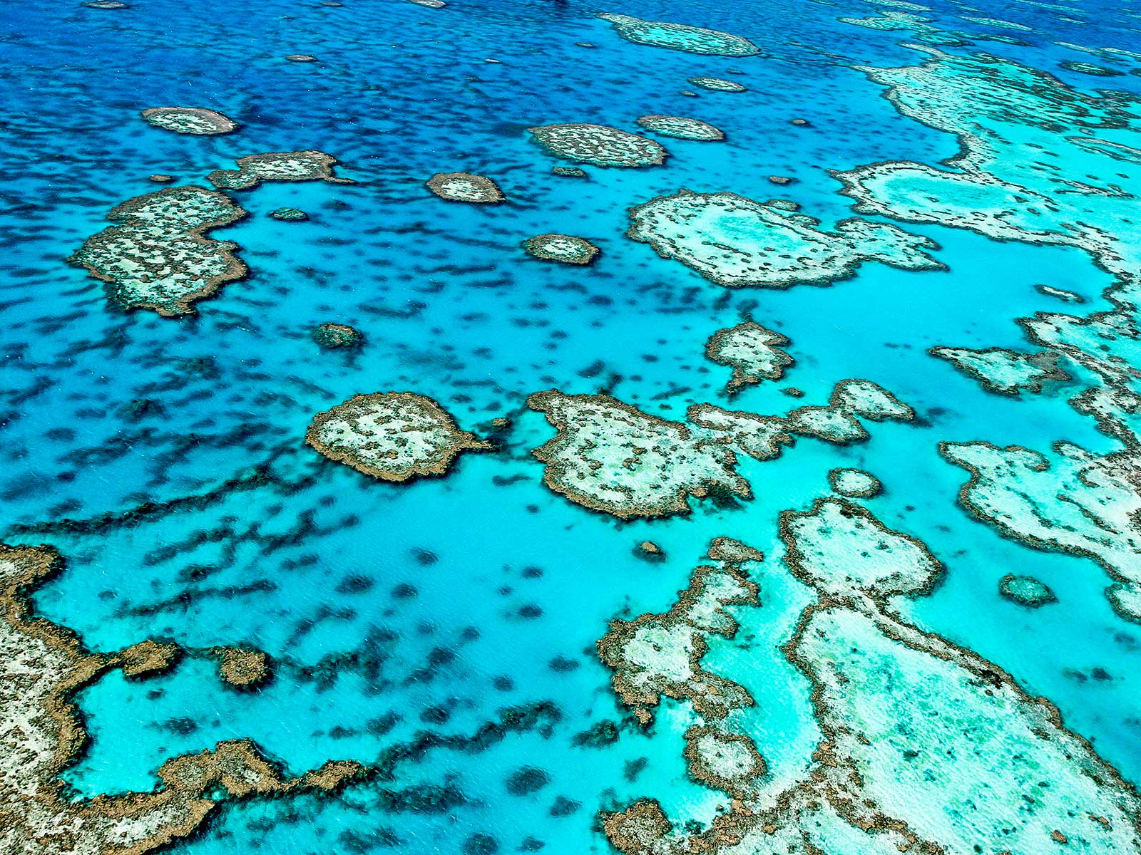 Great Barrier Reef