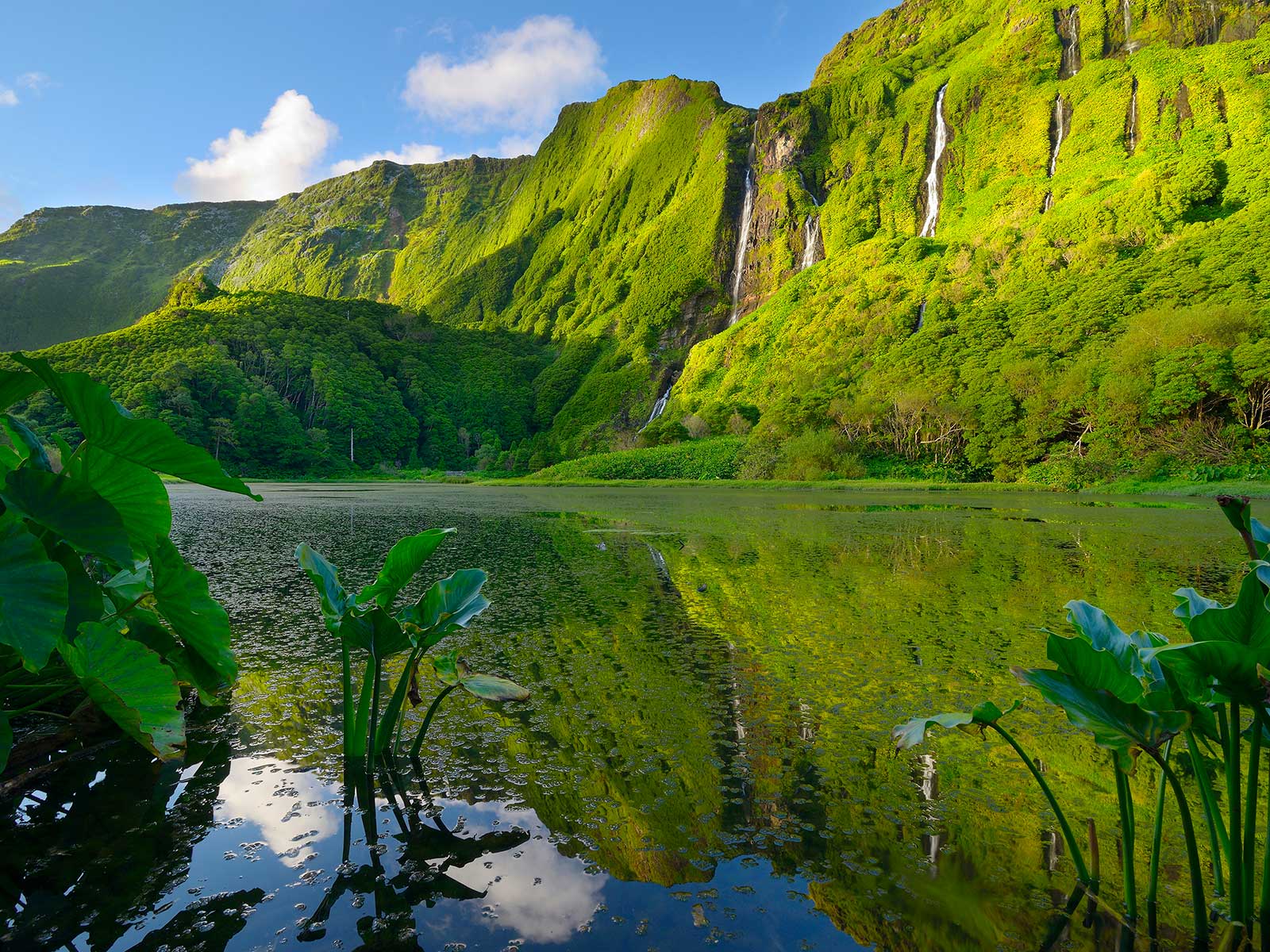Flores Island