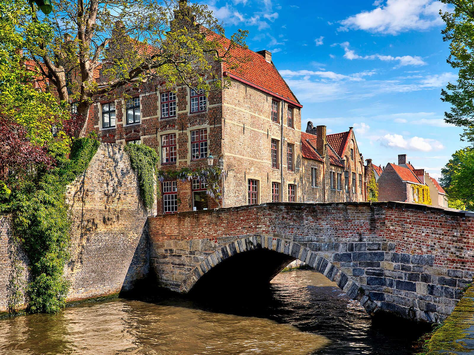 Additional view 3 of Canals of Bruges