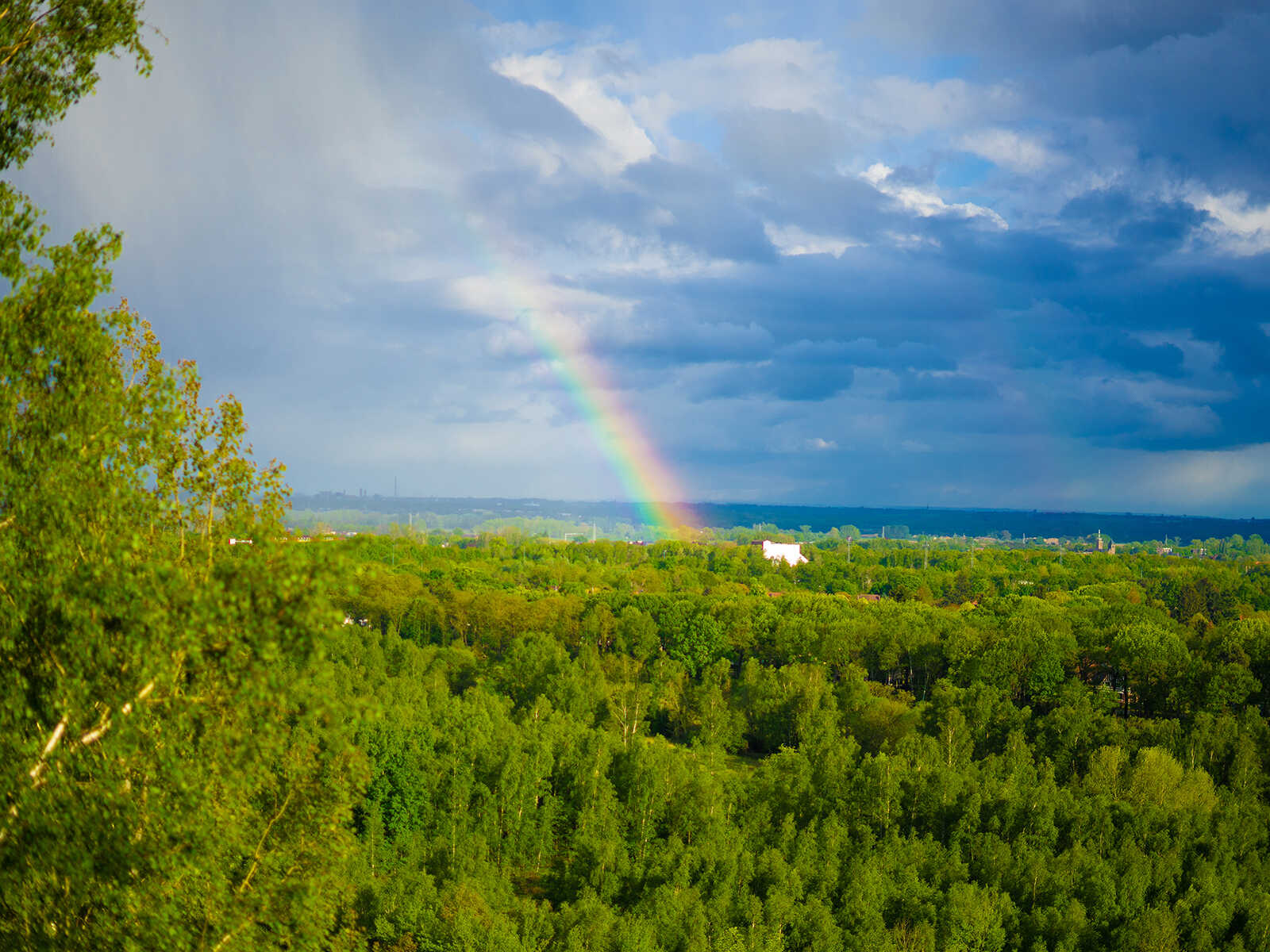 Hoge Kempen National Park