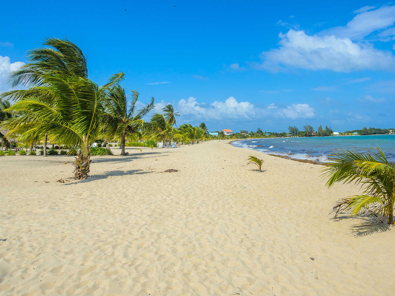 Vista adicional 1 de Placencia