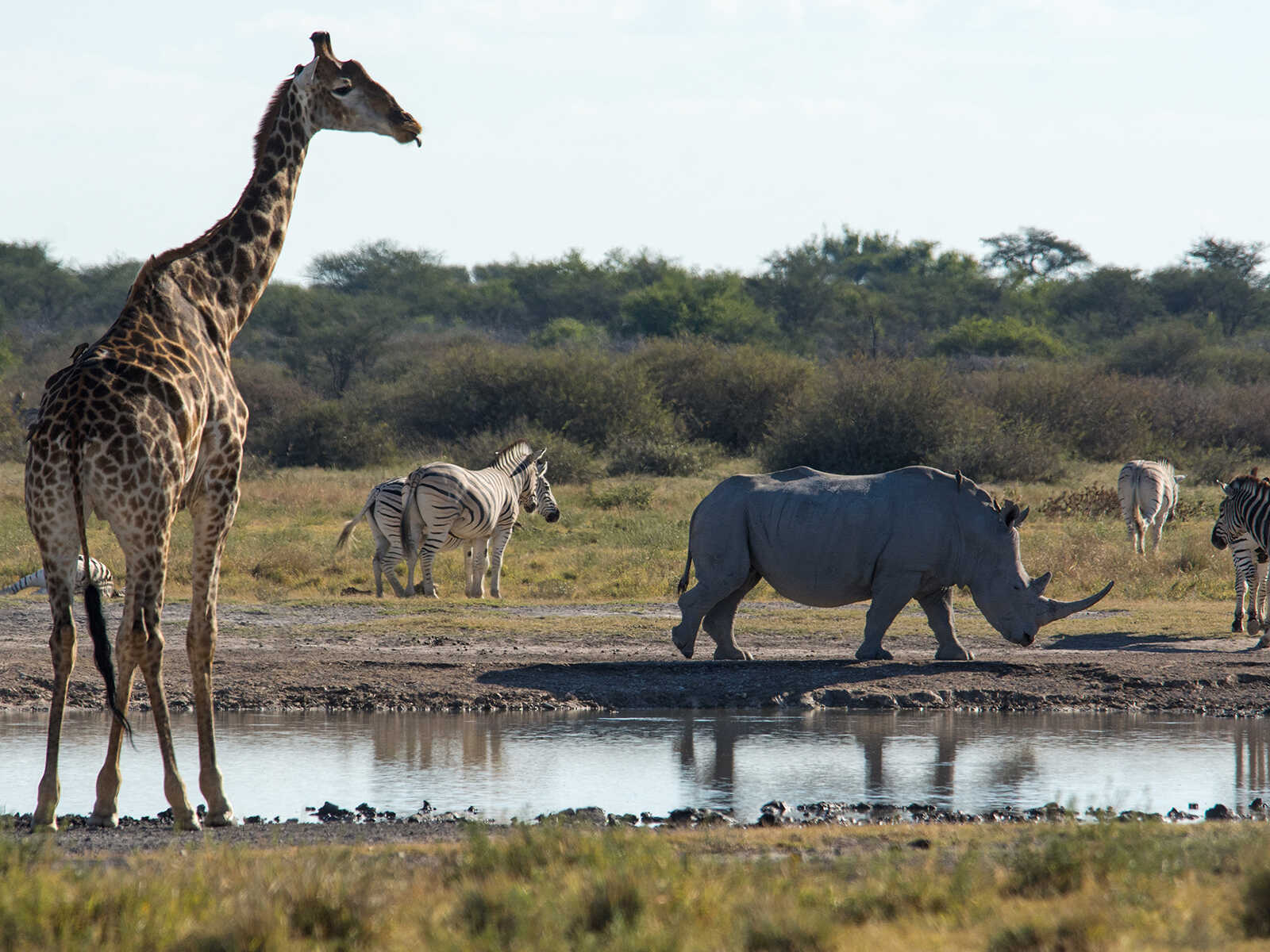 Khama Rhino Sanctuary