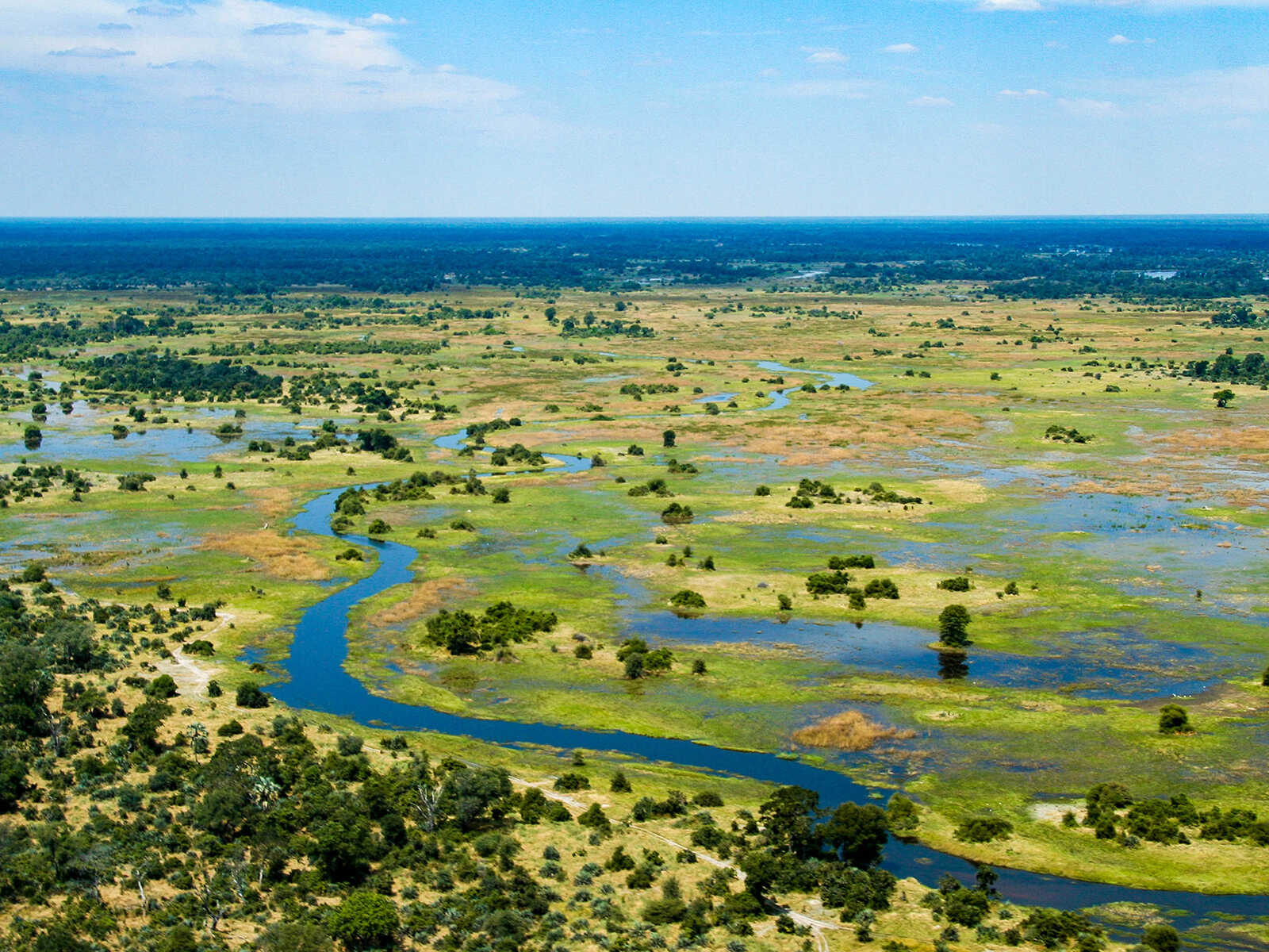 Okavango Delta