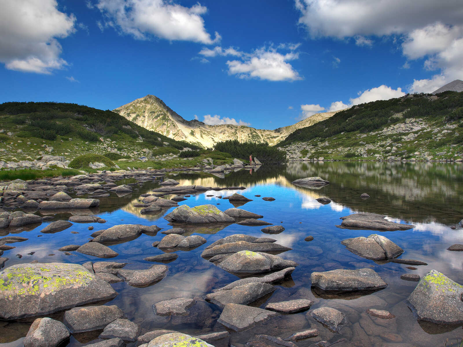 Pirin National Park