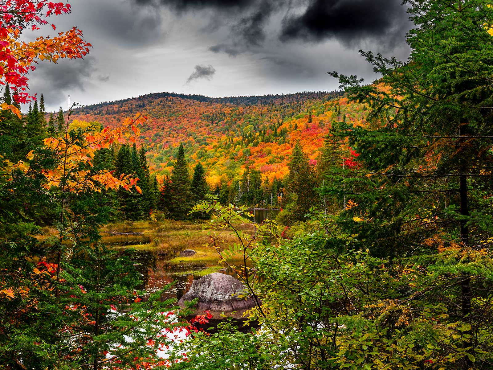 Laurentian Mountains