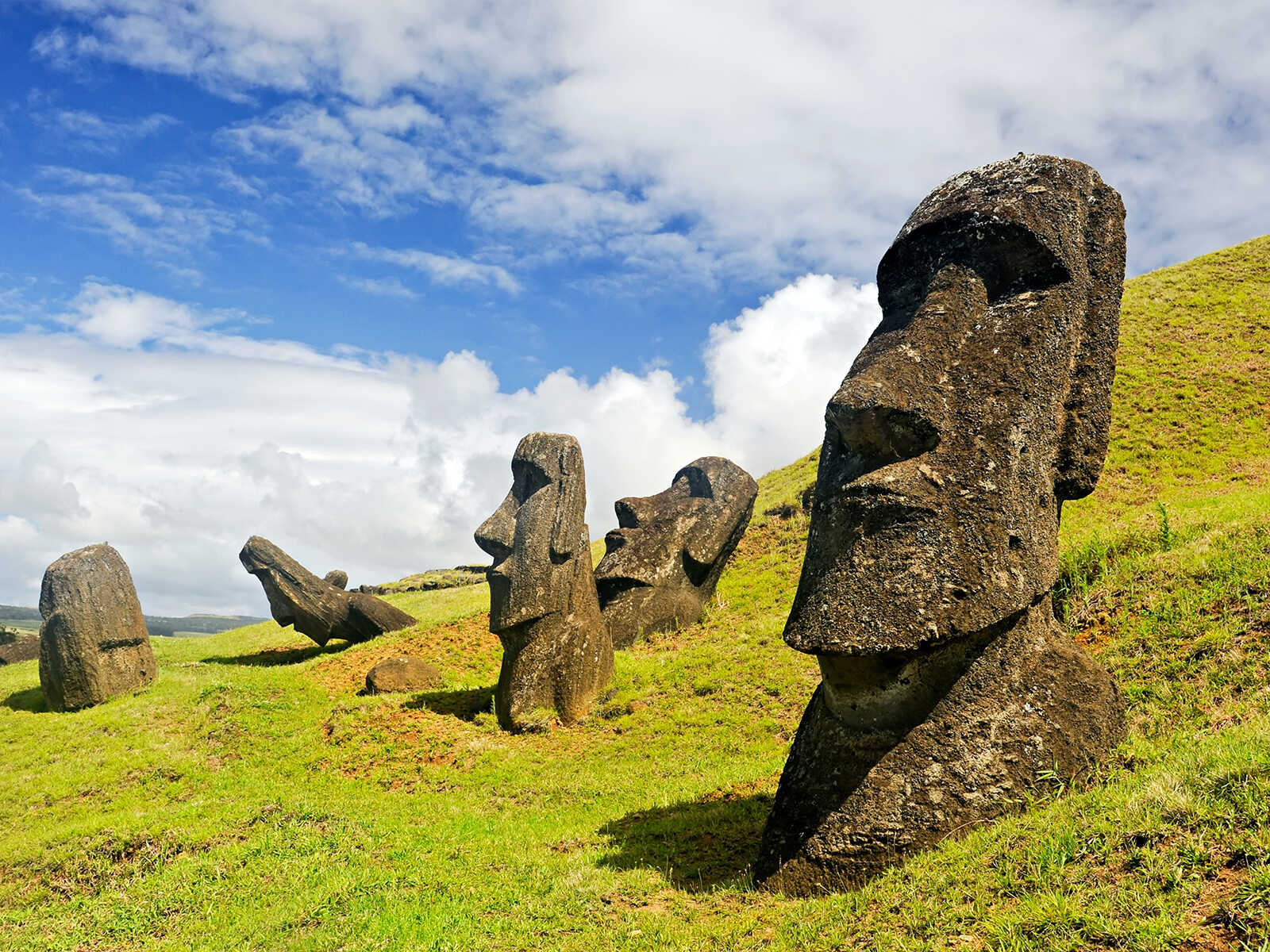 Imprescindibles en Chile