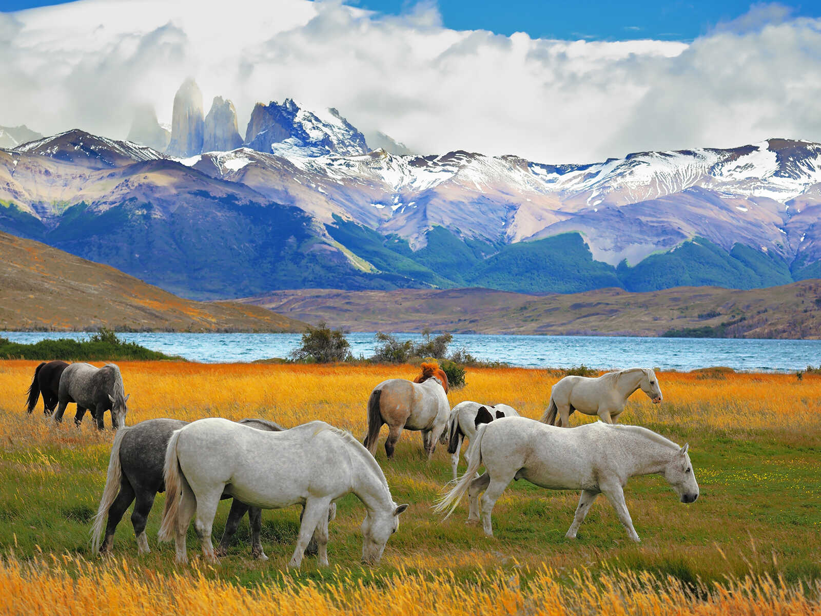 Torres del Paine National Park